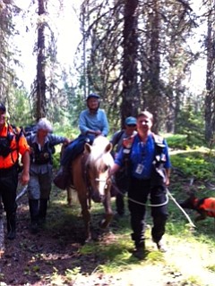 Wasco Fujiwara takes a horse back to safety on Sunday morning.