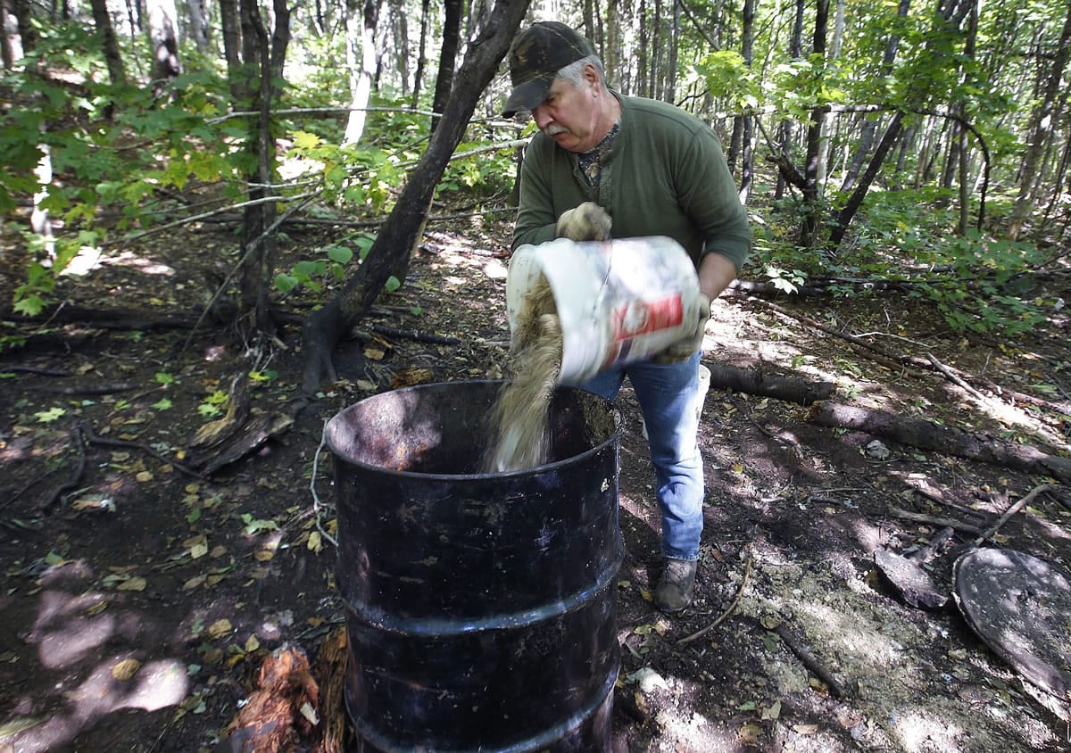 Bob Parker, owner of Stony Brook Outfitters, dumps a mix of doughnuts and granola into a barrel at a bear-hunting bait site in September near Wilton, Maine.
