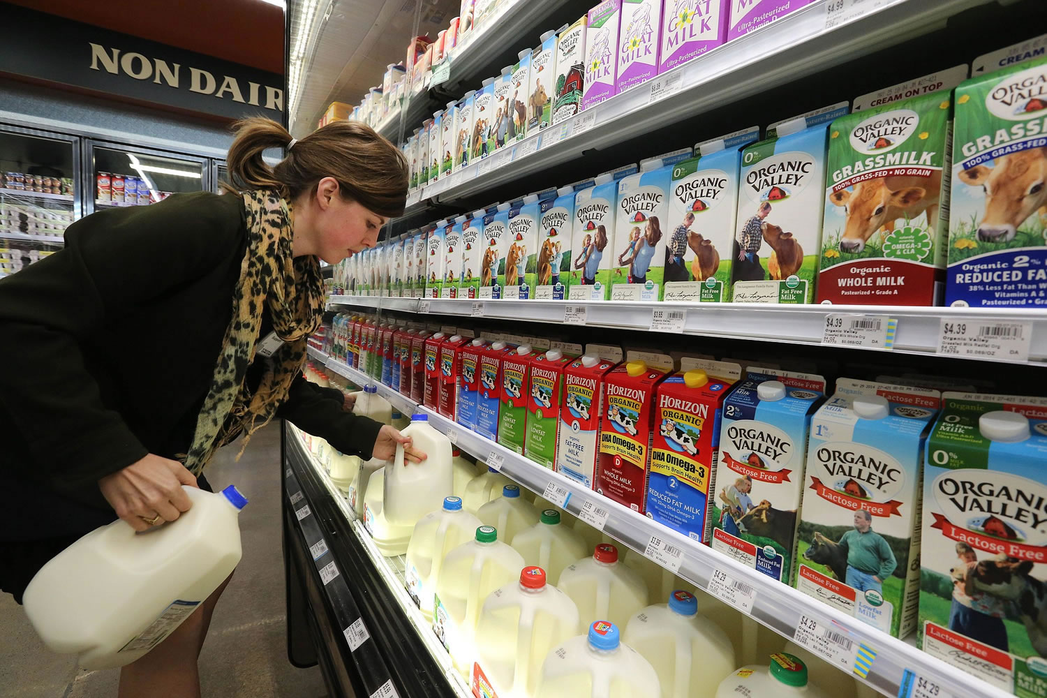 Grocery and dairy assistant Reyna DeLoge stocks dairy products that only use milk from pasture-raised cows at Vitamin Cottage Natural Grocers in Denver.