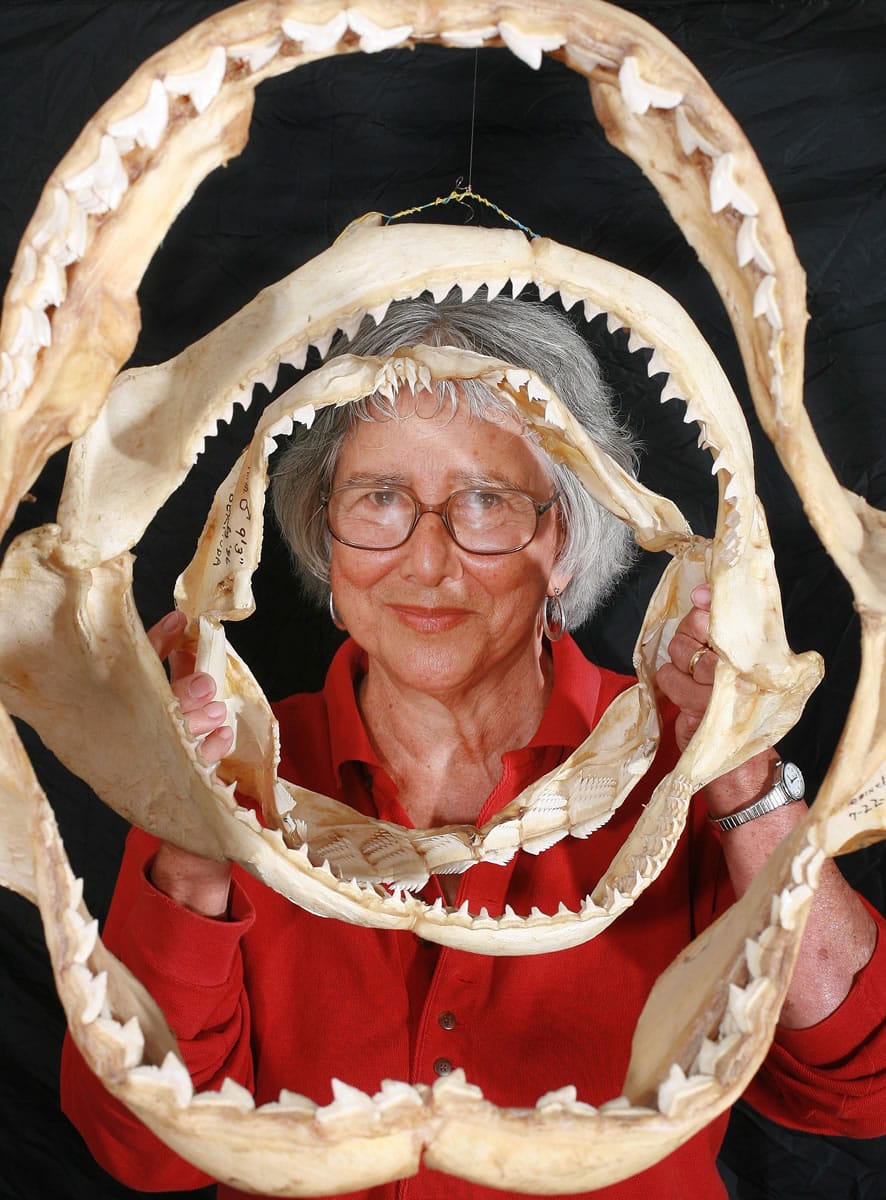 Associated Press files
Shark expert Dr. Eugenie Clark poses with jaws of various sharks in 2006.