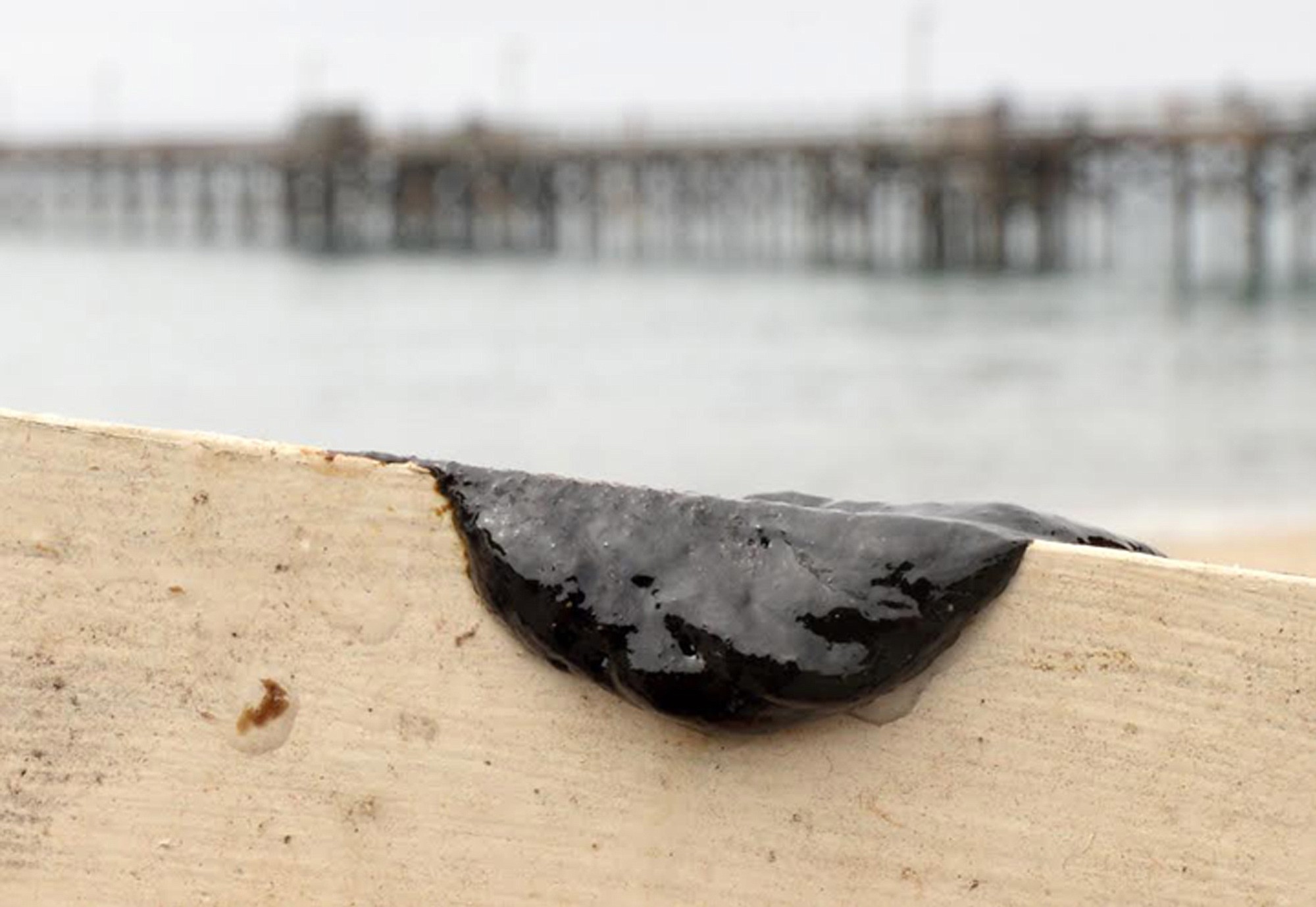 A sample of oil scraped off the side of a kayak after two kayakers encountered a large oil sheen and called the fire department to investigate, seen at the Goleta Beach parking lot in Goleta, Calif., on Wednesday.