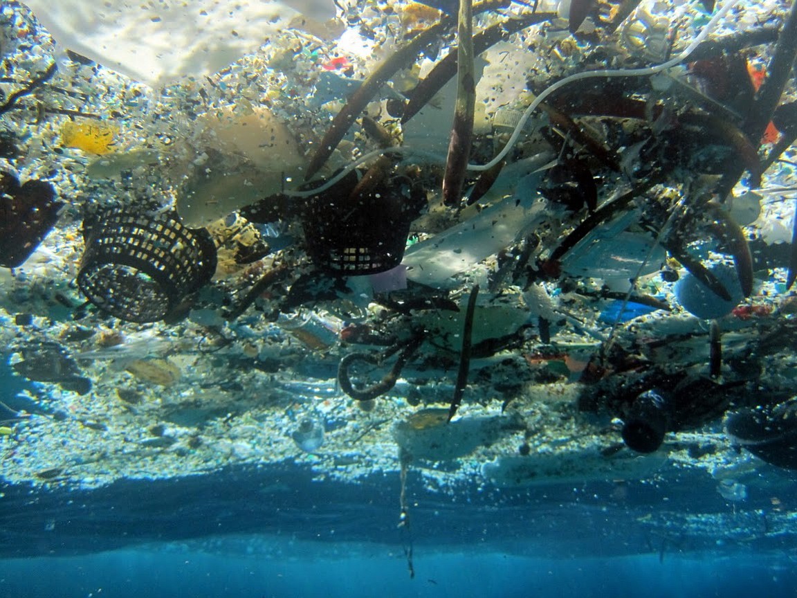 This 2008 photo provided by NOAA Pacific Islands Fisheries Science Center shows debris in Hanauma Bay, Hawaii. A study released by the Proceedings of the National Academy of Sciences on Monday estimated the total amount of floating plastic debris in open ocean at 7,000 to 35,000 tons.
