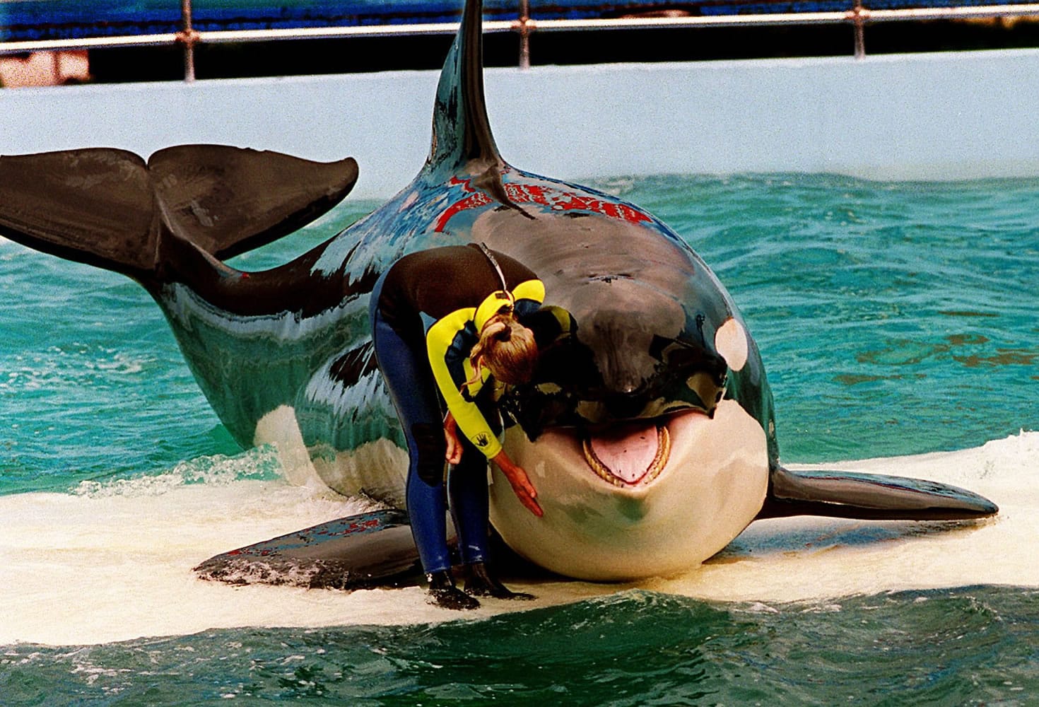 Miami Herald files
Trainer Marcia Hinton pets Lolita, a captive orca, during a performance in 1995 at the Miami Seaquarium in Miami. Lolita was taken from Puget Sound in 1970.
