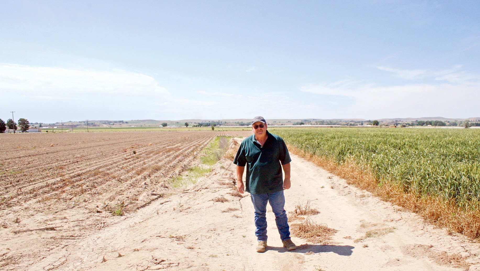 Dana Tuckness stands June 10 between two of his fields, one planted and one not, in Ontario, Ore.