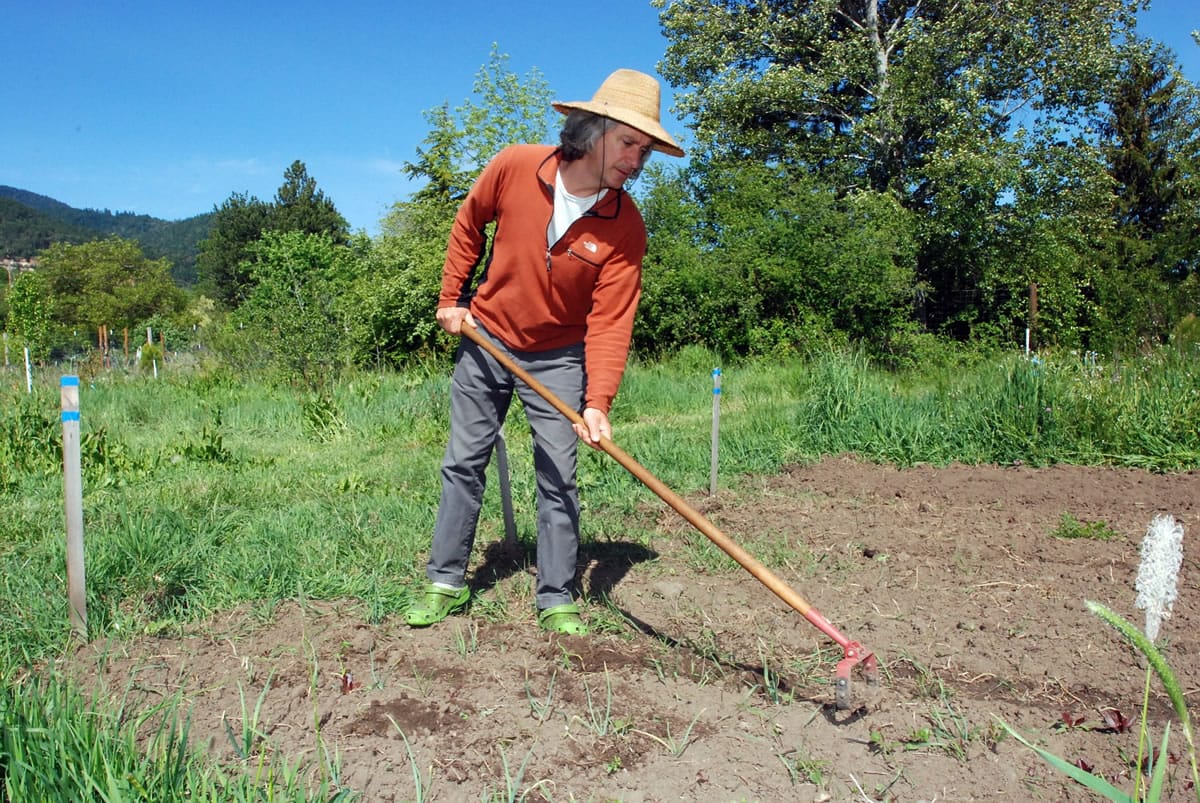 Associated Press files
Chuck Burr cultivates a row of onions May 12 on his organic seed farm outside Ashland, Ore. An Oregon ballot measure to require labeling of genetically engineered foods was narrowly defeated.