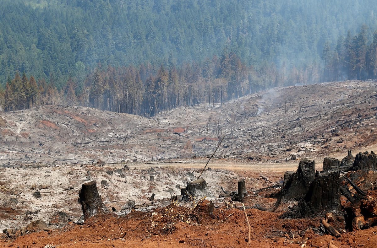 Smoke rises from a section of clear cut land burned by the Cable Crossing Fire east of Glide, Ore. on Thursday, July 30, 2015.