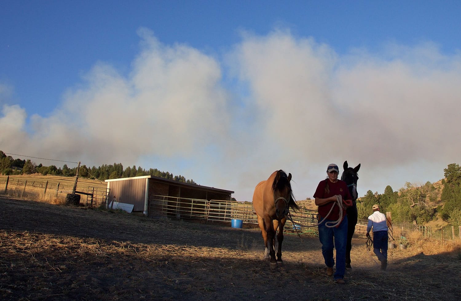 Gale Sheppard evacuates her horses as a wildfire approaches in Prairie City, Ore., on Thursday.