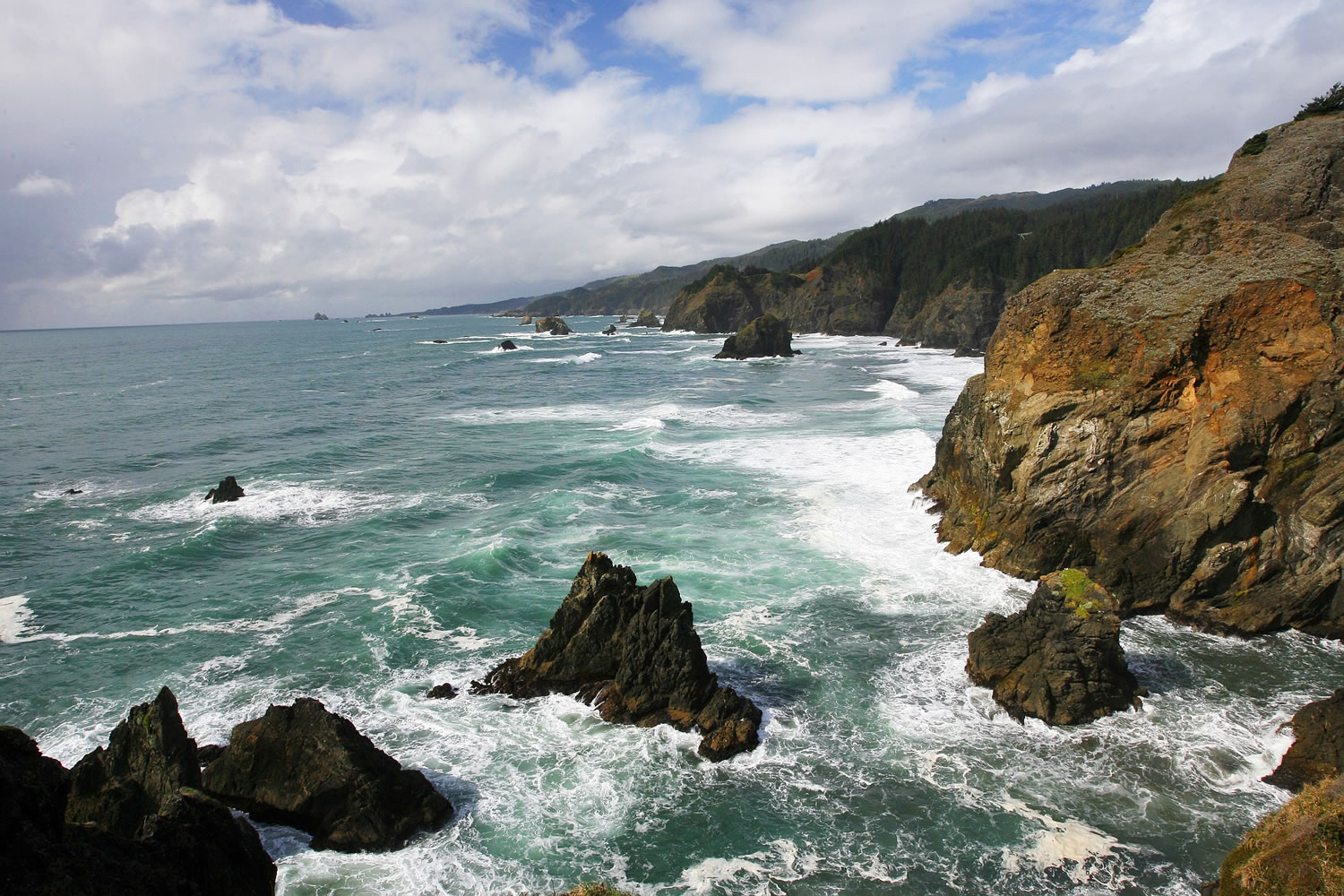 One of the most dramatic views on Oregon's South Coast is at the Samuel H.