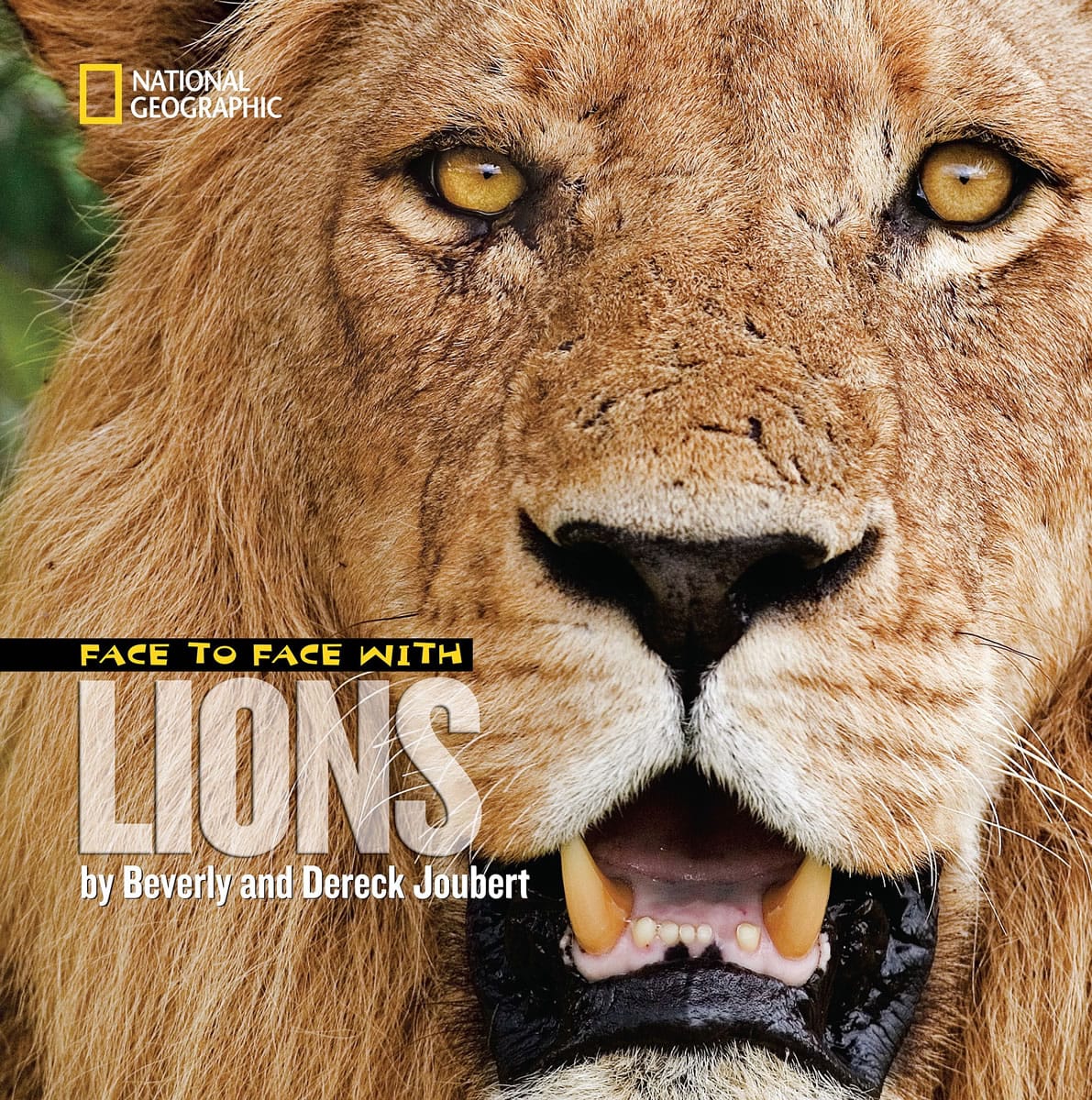 This book cover image released by National Geographic Children's Books shows &quot;Face to Face With Lions,&quot; by Beverly and Dereck Joubert. Part of National Geographic's &quot;Face to Face With Animals&quot; series, this offering is full of detail and close-up photography to satisfy young buffs in classrooms or at home. The book covers diet, life expectancy reproduction and how prides function.