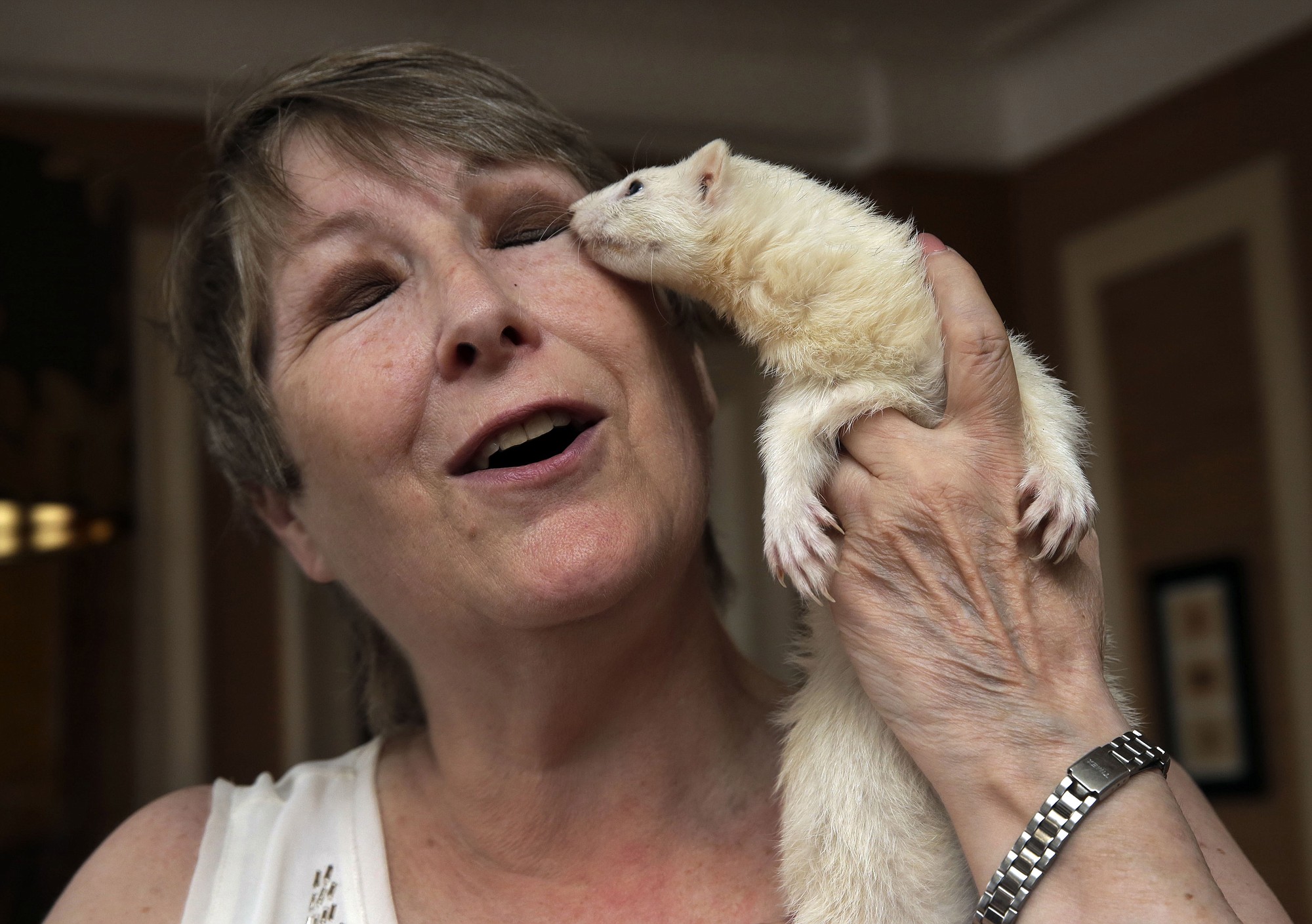 Candace Lucas poses for photos with her pet ferret Tink.
