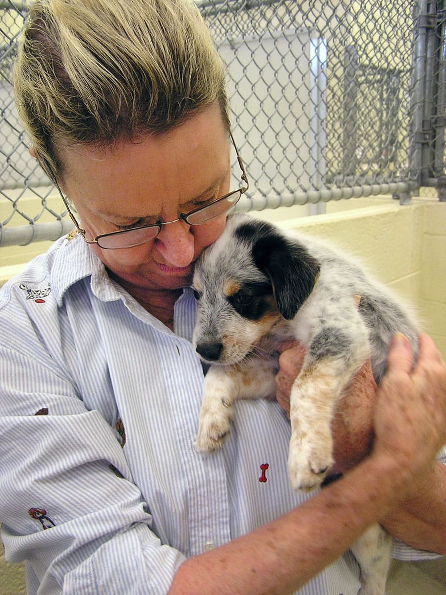 Cornelia Perez, 72, cares for a puppy that is up for adoption at the Humane Society of Vero Beach and Indian River County in 2011 in Vero Beach, Fla.