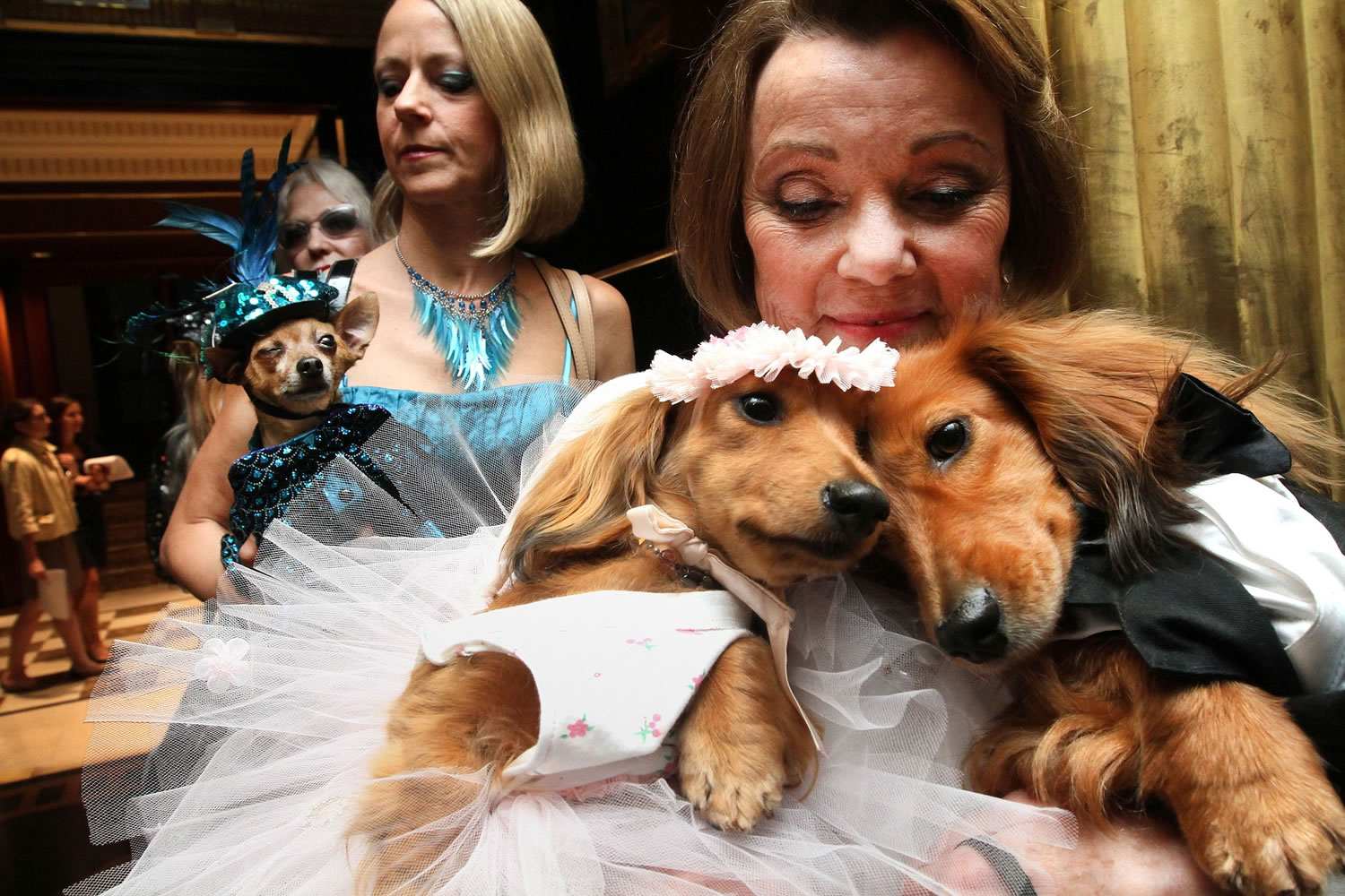 Dachshunds Dee Dee, foreground left, and Clifford are held by their owner, Valerie Diker, as they await the start of a wedding for pets in New York in 2012.