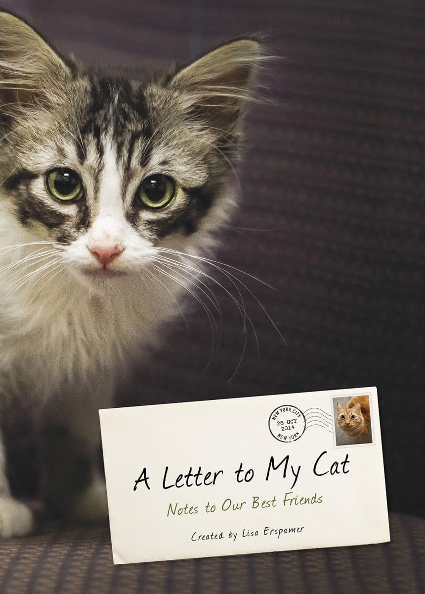 Crown Publishing
Right: &quot;A Letter to My Cat&quot; by Lisa Erzpamer. Actress Rosanna Arquette, model Kathy Ireland and animal behaviorist Jackson Galaxy are among the celebrities who pen love notes to their cats in this collection.