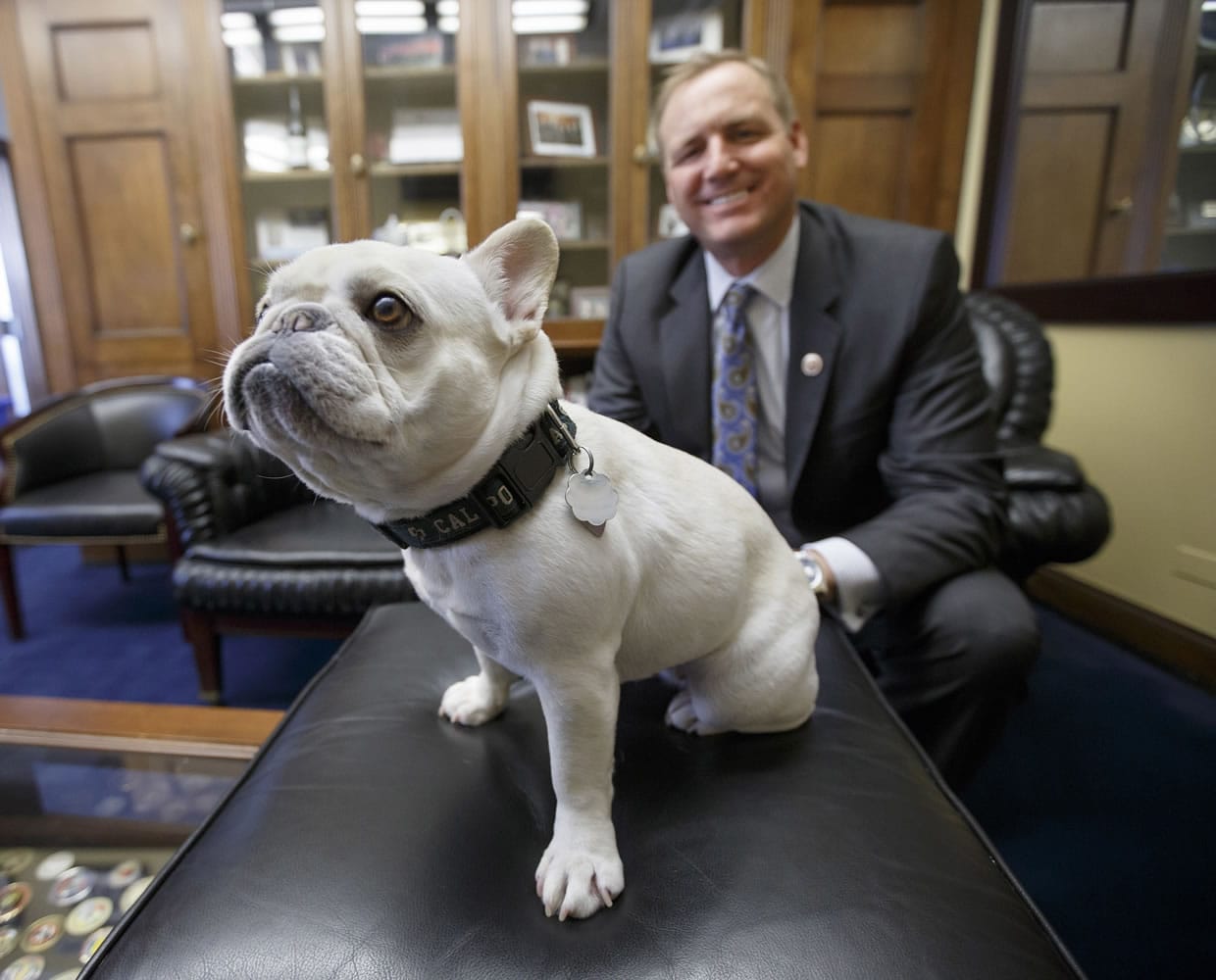 U.S. Rep. Jeff Denham, R-Calif., poses with Lily, his 15-pound French bulldog, in his office on Capitol Hill in Washington.