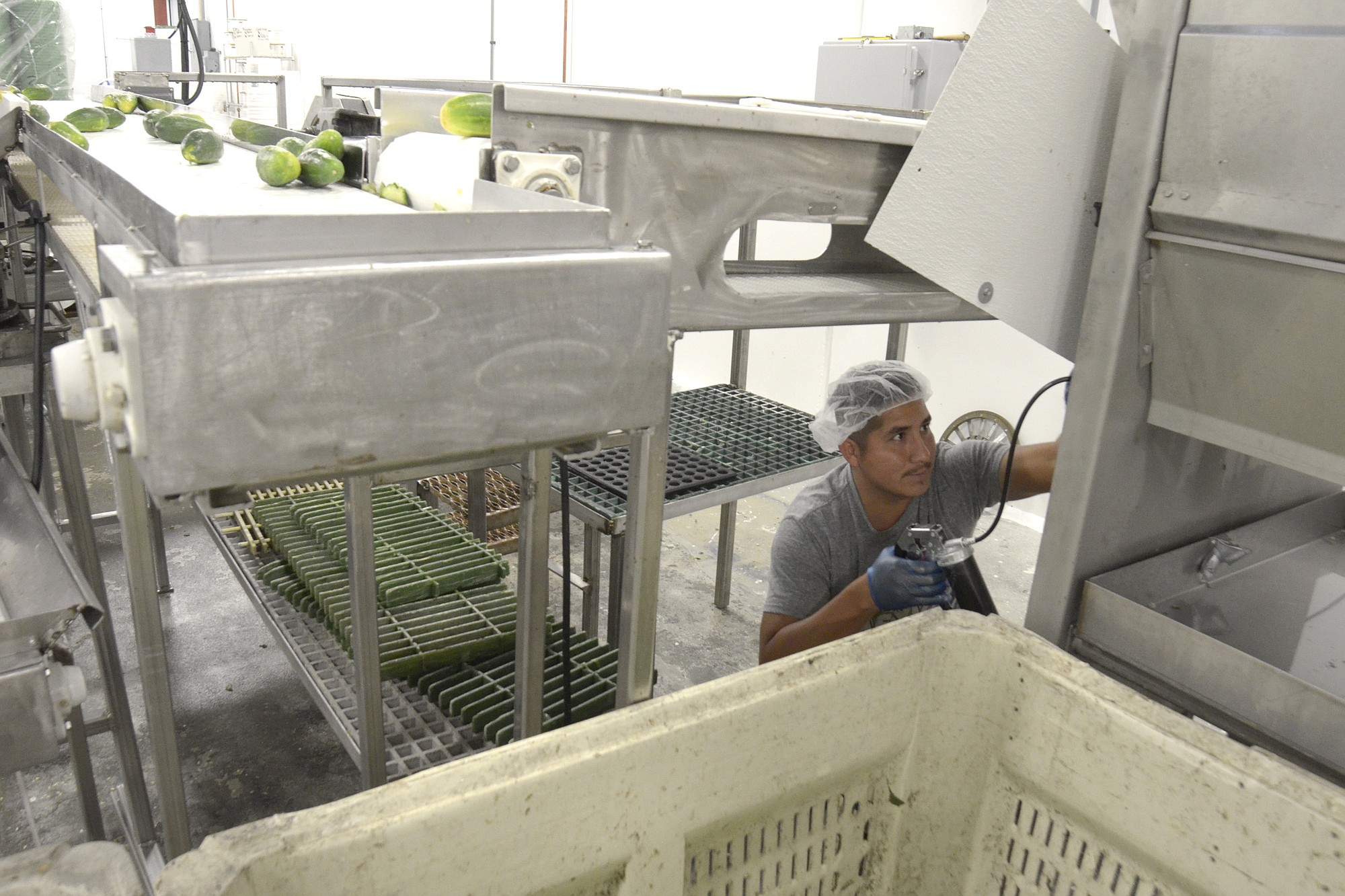 Gielow worker Octavio Meza performs maintenance on a pickle line Oct.