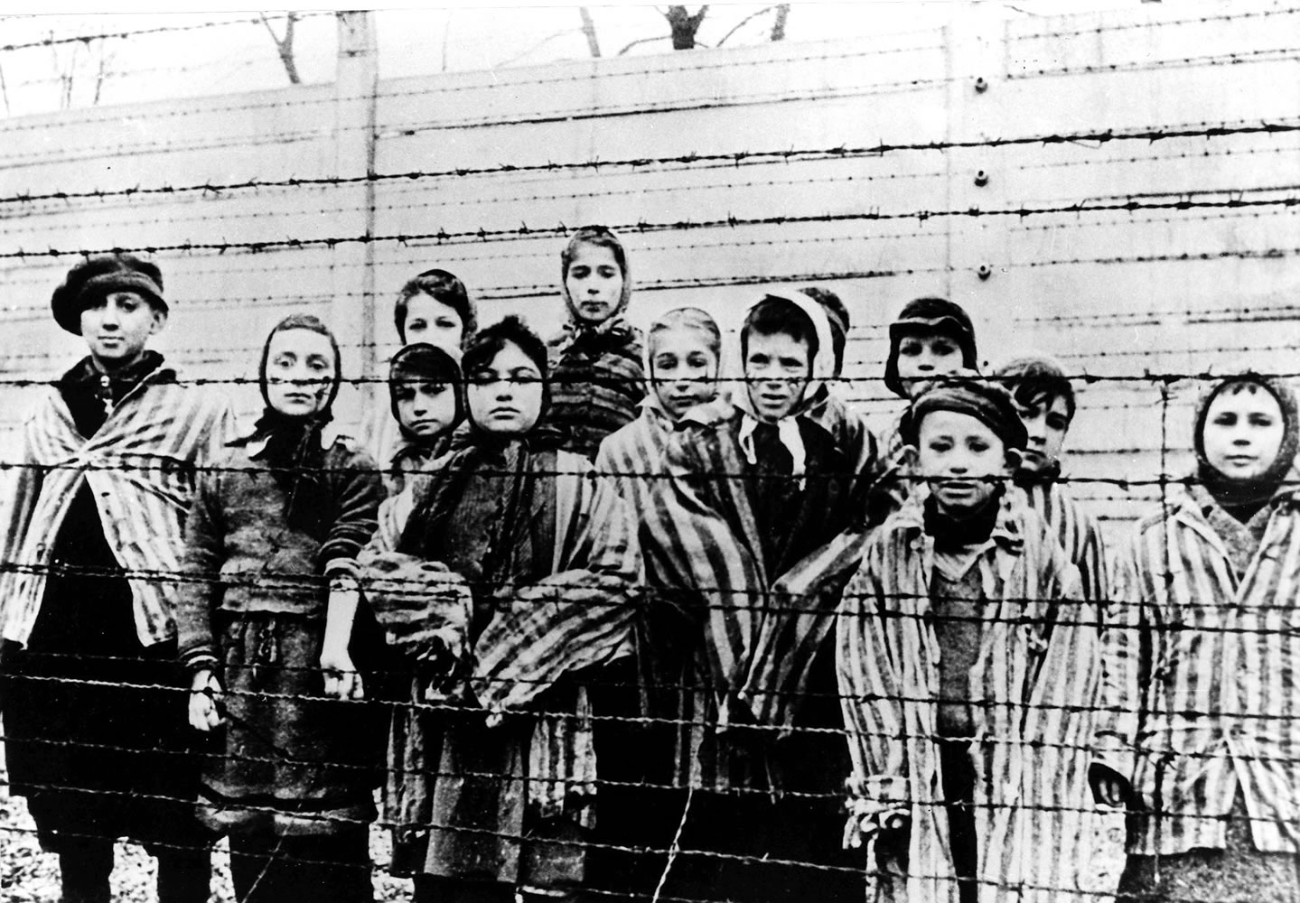 A picture taken just after the liberation by the Soviet army in January 1945 shows a group of children wearing concentration camp uniforms behind barbed wire fence in the Auschwitz concentration camp.