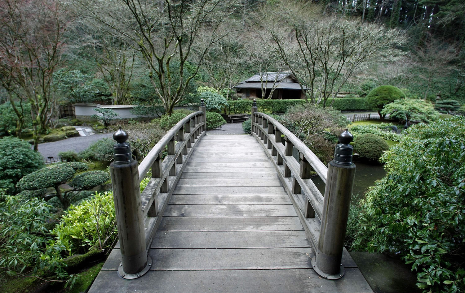 Enjoy free admission to the Portland Japanese Garden on Feb. 16.