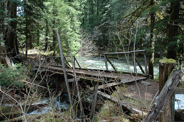 This bridge crosses a tributary to Quartz Creek not far up trail No. 5 from its beginning on Lewis River road No.