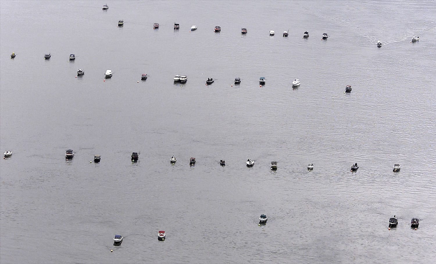 Lines of anchored boats dot the lower Columbia River during the spring chinook fishing season.