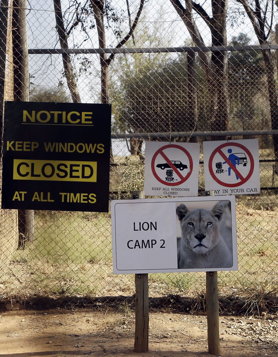 A view of an enclosure Tuesday at the Lion Park in Johannesburg, South Africa, where a lion killed an American tourist.