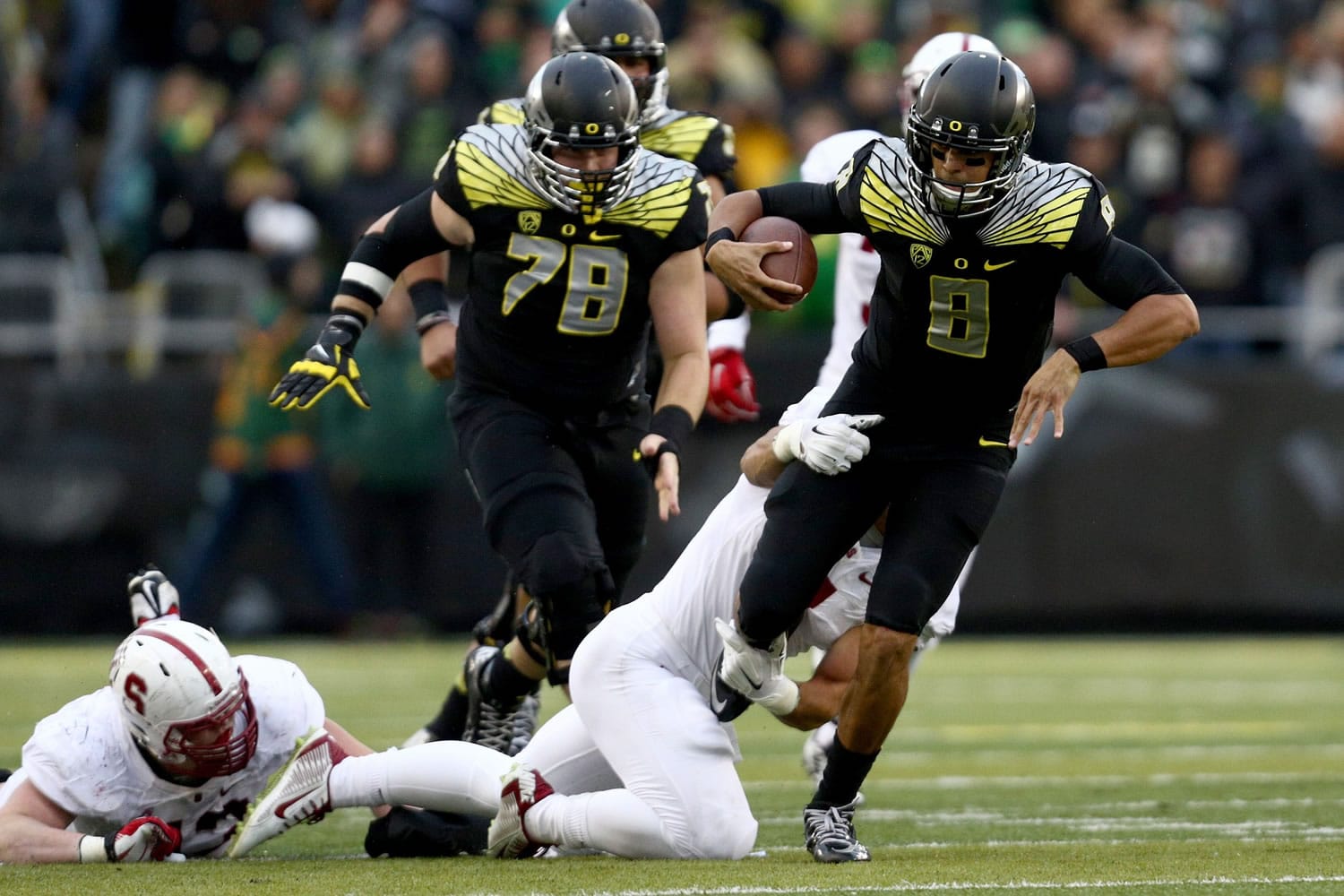 Oregon quarterback Marcus Mariota (8) tries to get away from the defender during the second quarter against Stanford on Saturday, Nov. 1, 2014.