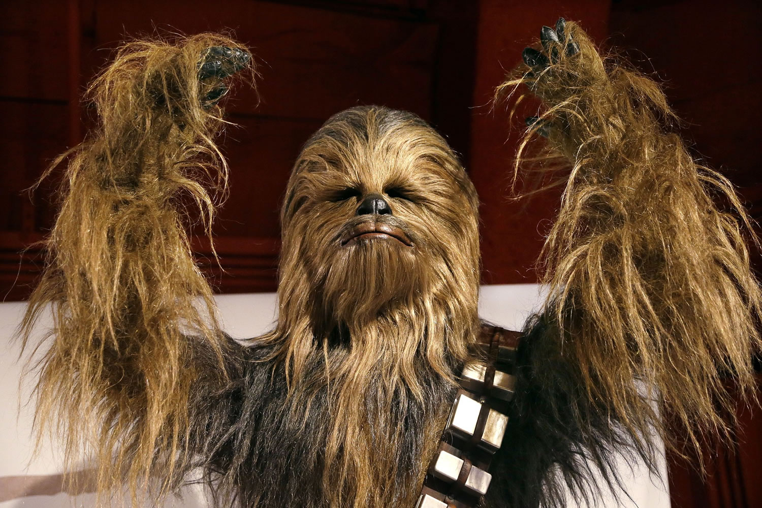 A yak hair and mohair costume of the Wookiee Chewbacca is displayed as part of an exhibit on the costumes of Star Wars at Seattle's EMP Museum.