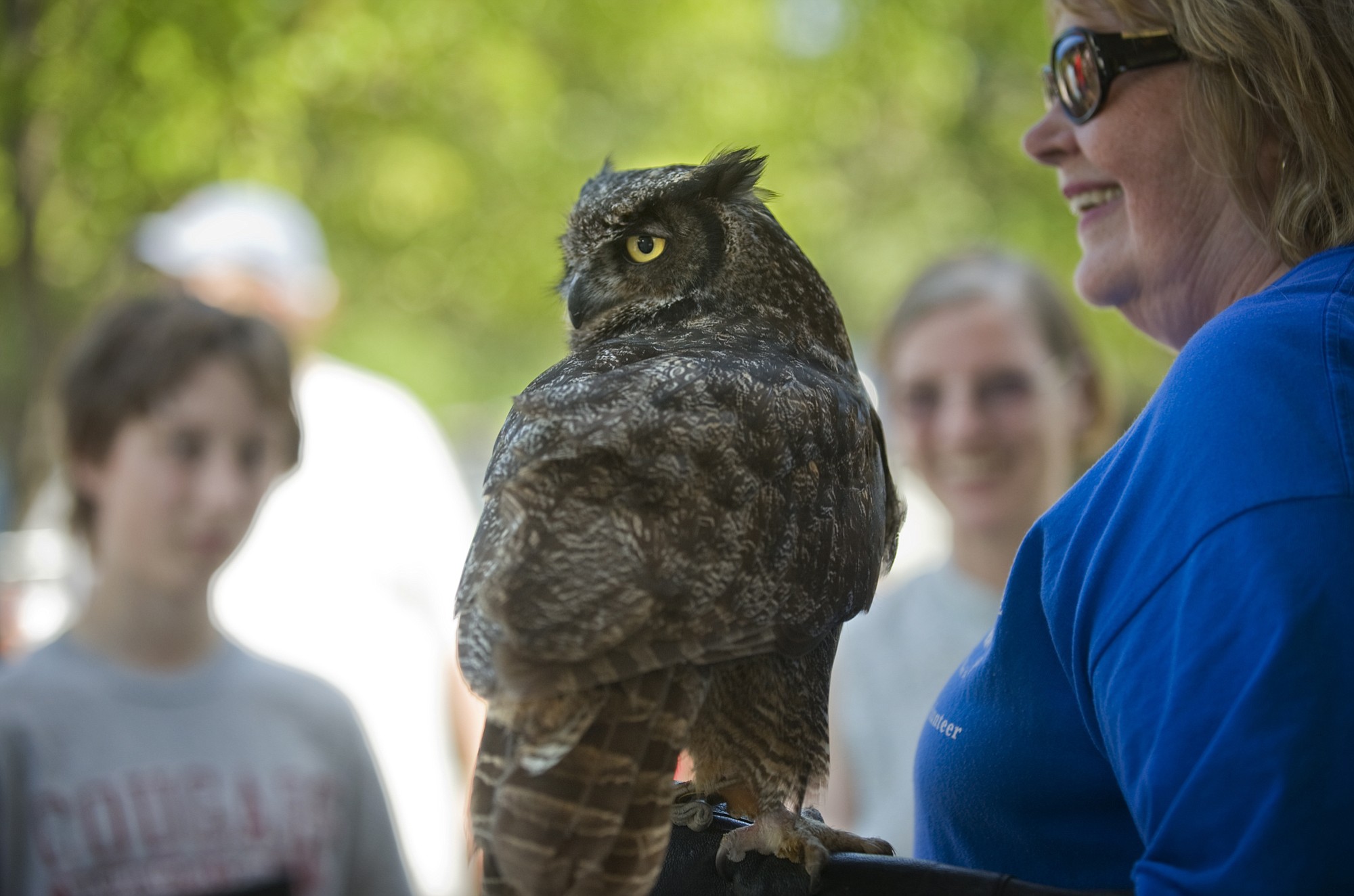 A live birds of prey presentation is part of the Sturgeon Festival today at the Water Resources Education Center.