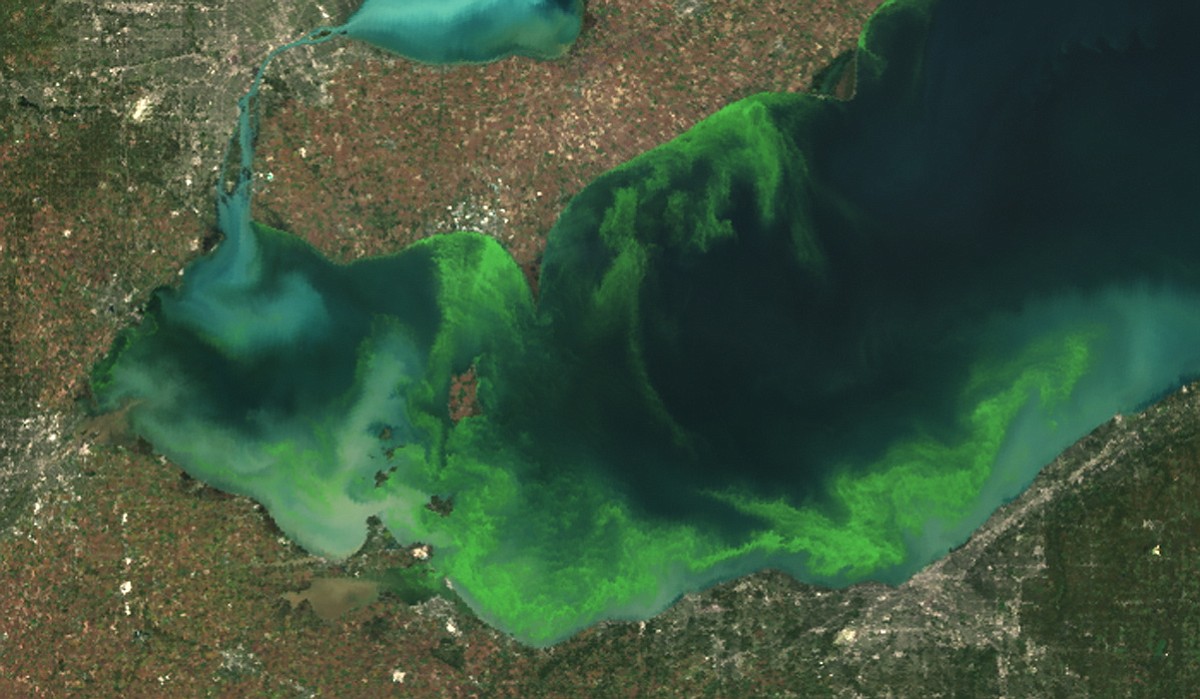 National Oceanic and Atmospheric Administration
This satellite image provided by National Oceanic and Atmospheric Administration shows the algae bloom on Lake Erie in 2011, which according to NOAA was the worst in decades.