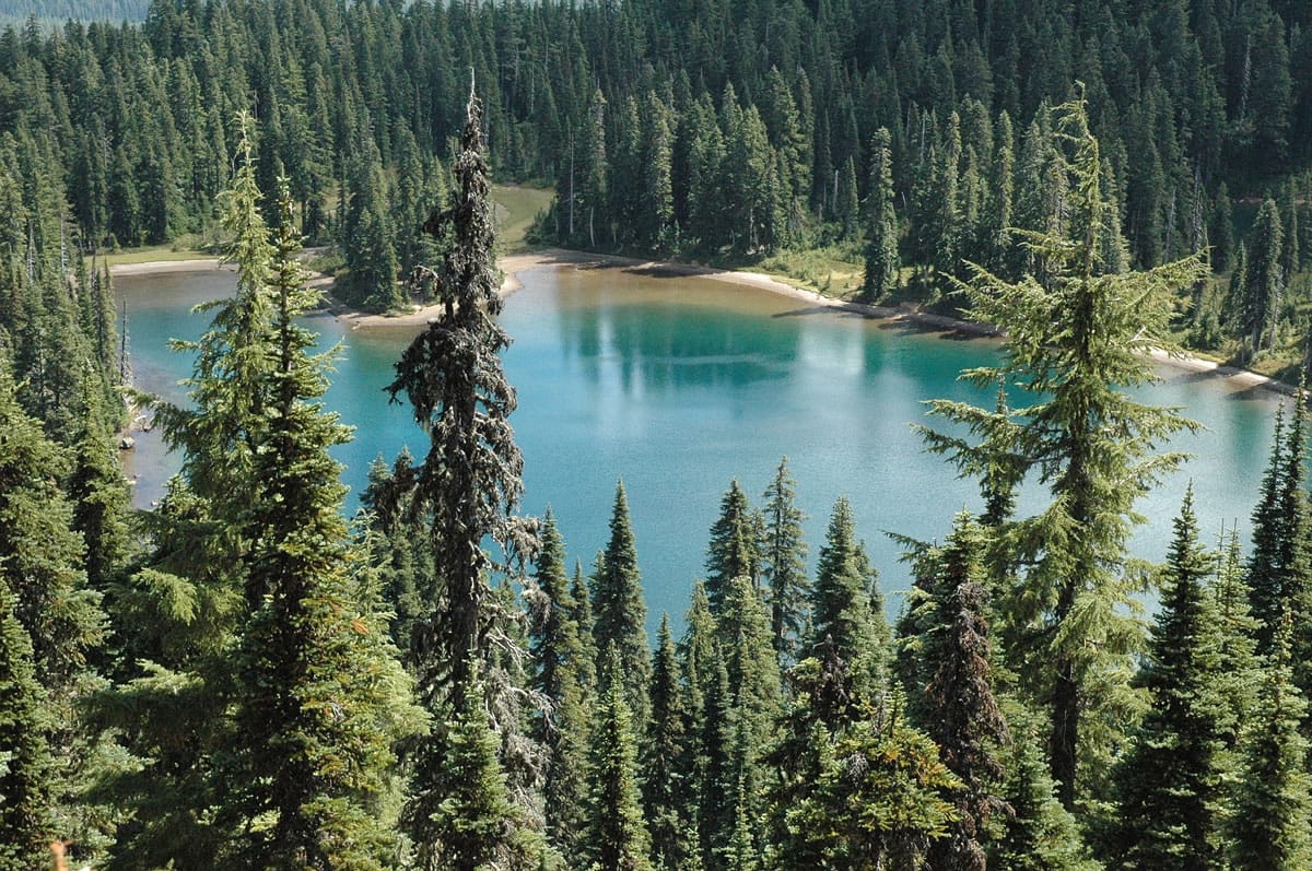 Wapiki Lake is not known for its trout fishing, but offers a nice camping local on the east side of Indian Heaven.