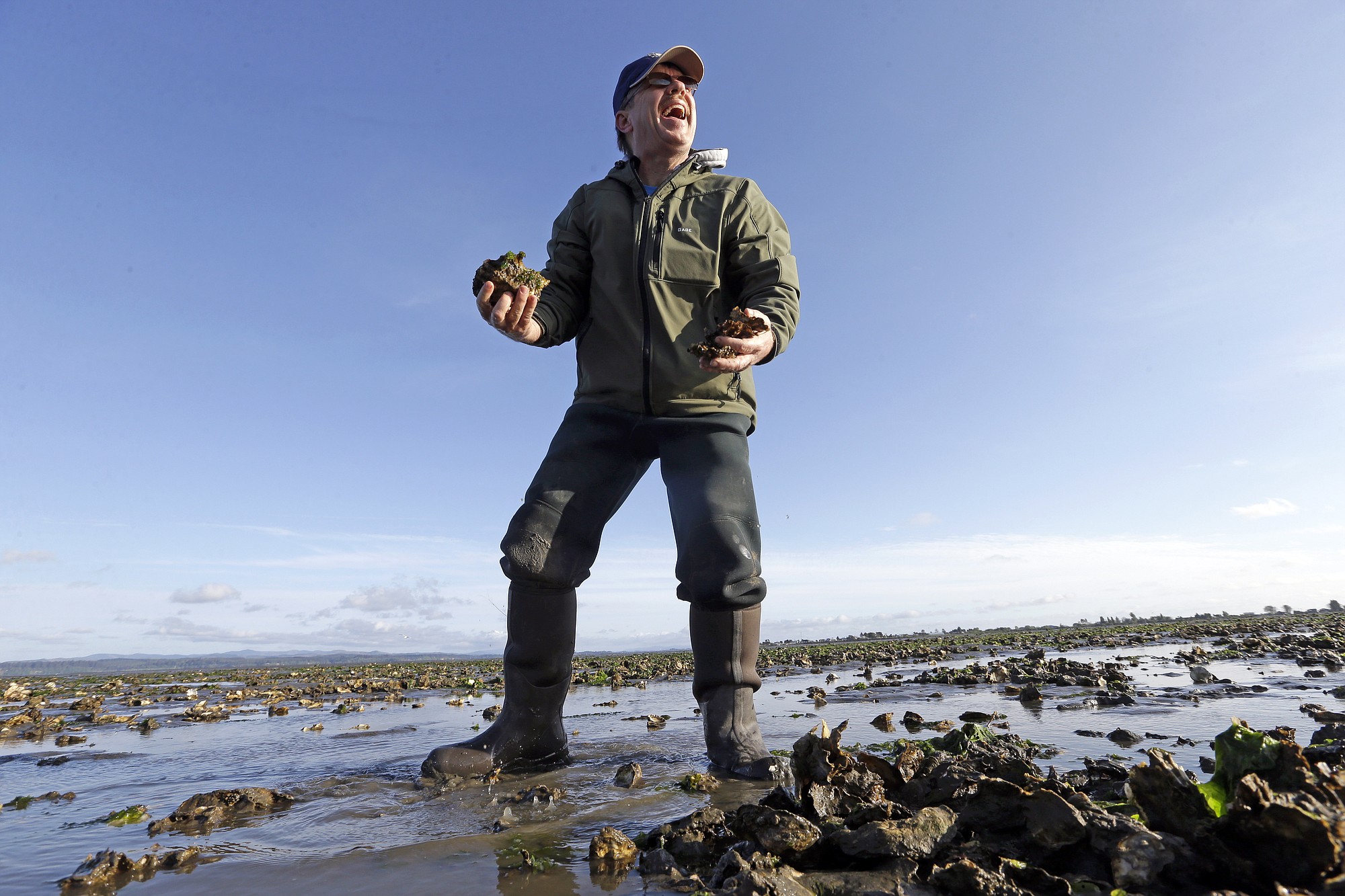 Eric Hall, a manager for Taylor Shellfish, smiles as he looks up after picking up a handful of oysters he planned to snack on Friday, May 1, 2015, at low tide in Willapa Bay near Tokeland, Wash.   Washington oyster growers are preparing to spray up to 2,000 acres of commercial shellfish beds after winning state approval to use a neurotoxic pesticide to control a native burrowing shrimp that threatens the shellfish industry.