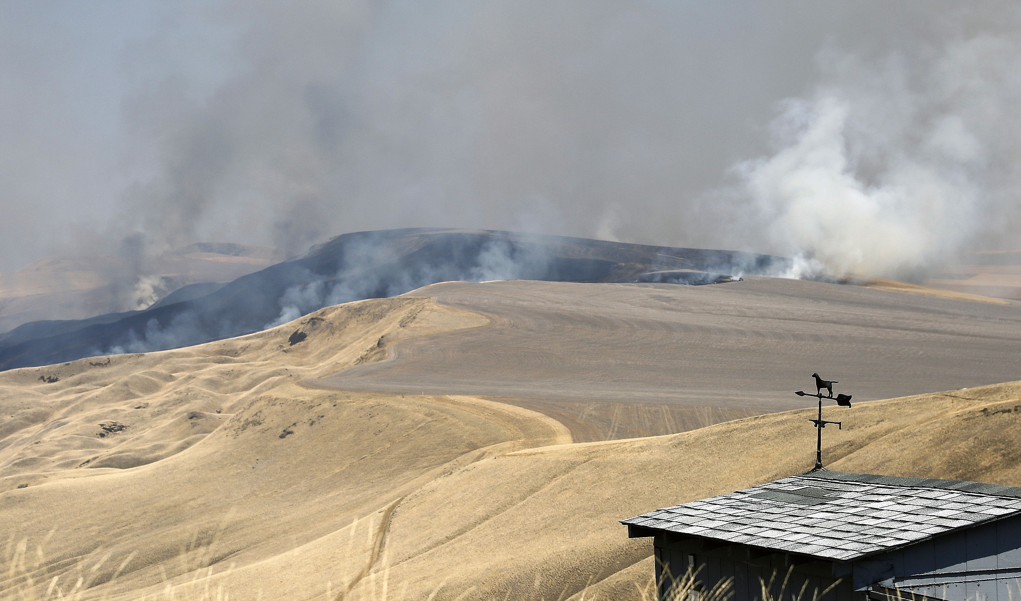 Fire crews responded to a brush fire just east of Prosser, Wash., and just South of Interstate 82 on Tuesday.