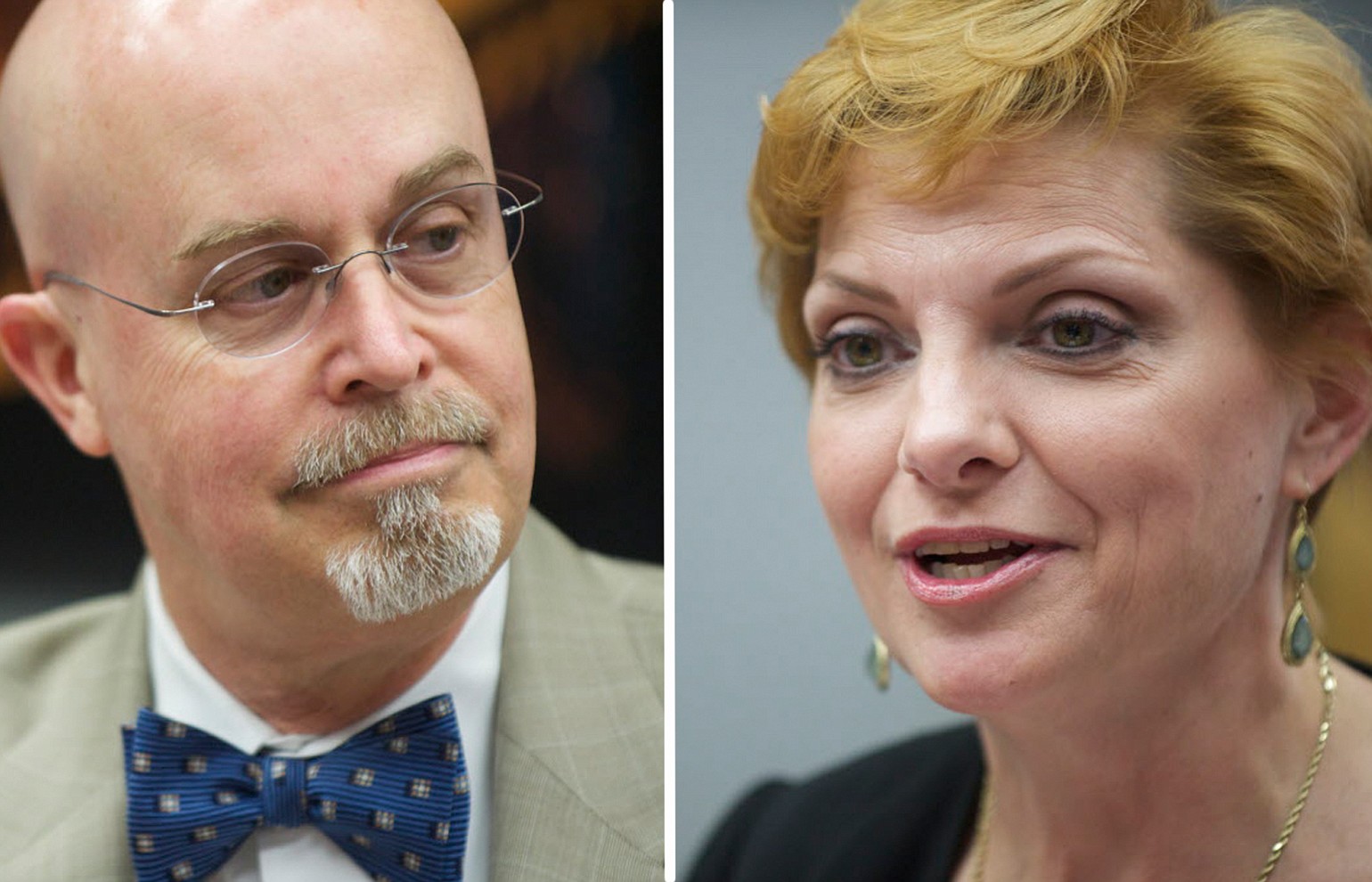 49th District, Position 2 candidates: Incumbent Jim Moeller (D) and Lisa Ross (R).