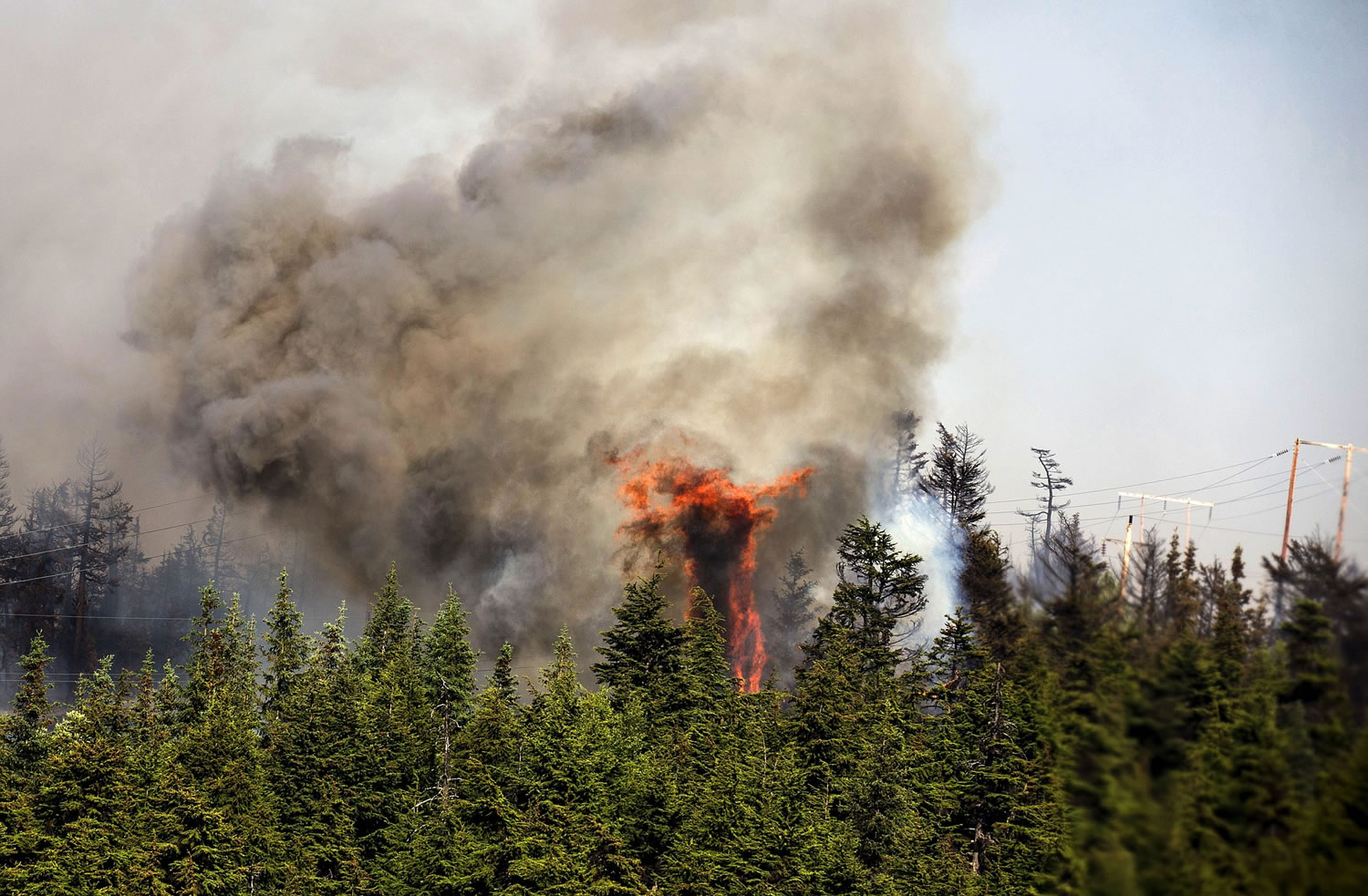 The Alaska Army National Guard, trees erupt in flames in the Stetson Creek Fire near Cooper Landing, Alaska.