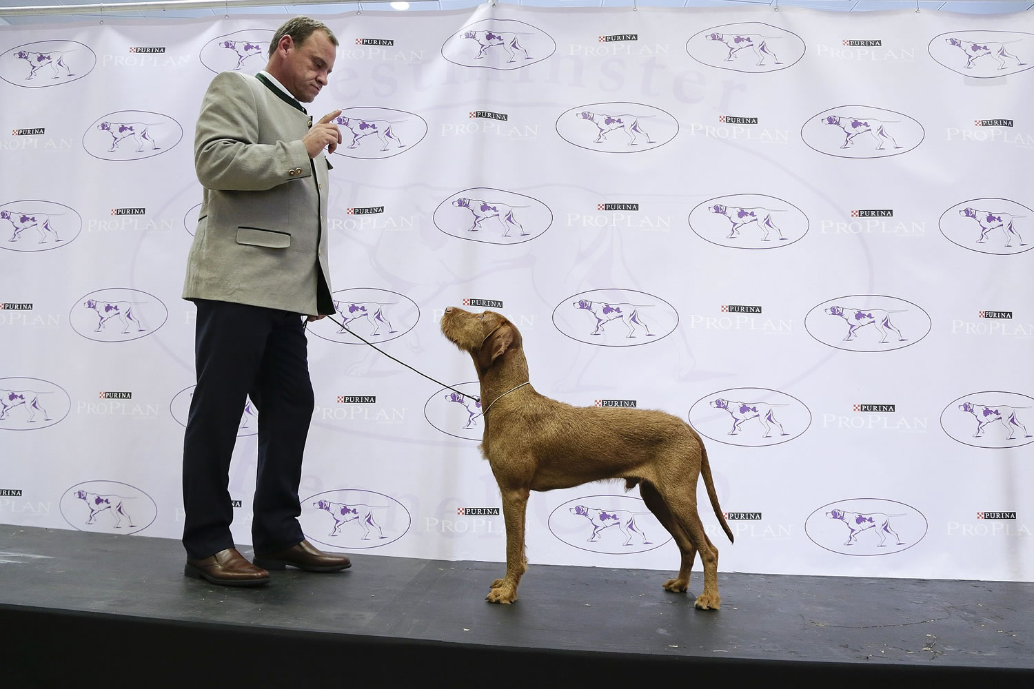 Anton Sagh, of Montreal, Quebec, motions to Falko, a wire-haired vizsla, to pose during a news conference Tuesday.