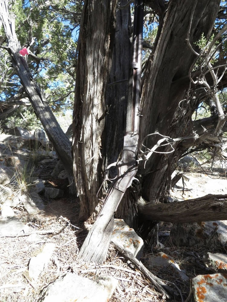 A Winchester rifle made in 1882 was found in November propped against a juniper tree in Great Basin National Park, Nev., during an archaeological survey.
