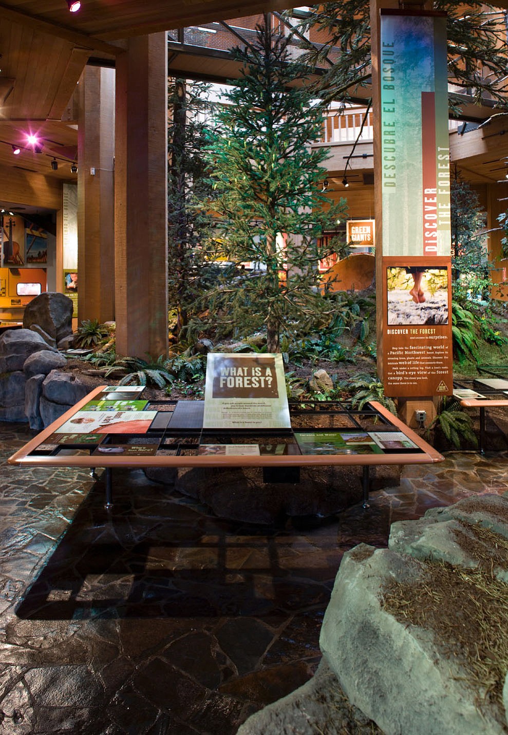 Those ages 21 and older can explore the exhibits after-hour during Museum By Moonlight, Nov. 20, 2014 at the World Forestry Center Discovery Museum in Portland.