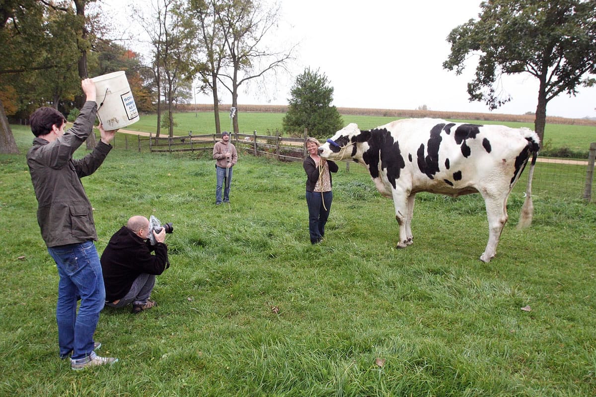 Patty Hanson is all smiles for the camera Oct. 13 as she holds onto her Holstein cow Blosom while photographers from Guinness World Records in London document the world's tallest cow for the 2016 book of world records.in Orangeville Ill.