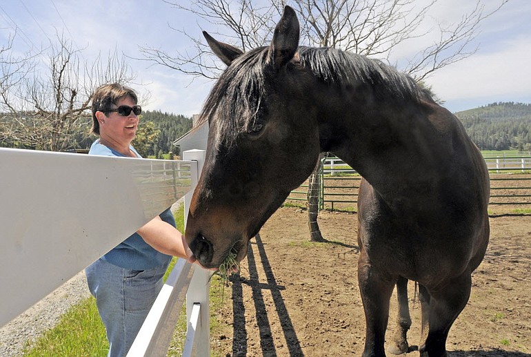 Lisa Talbott of Valley Chapel Farms checks on Jasper, one of her boarding horses, Thursday south of Spokane.
