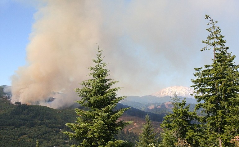 Fire burns in 20-year-old timber north of Lake Merwin on Saturday. The fire was reported at about 3 p.m.