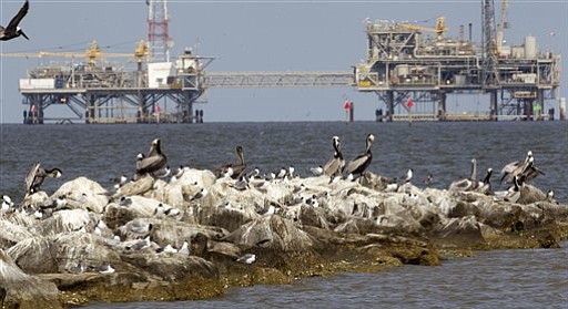 Brown Pelicans and other birds thrive on the rocks near Dauphin Island, Ala., Monday, April 18, 2011. Natural gas rigs operate in the Mobile Bay waters at rear.