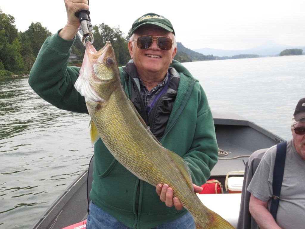 Walt Pistor of Kalama with a nice walleye caught in the Columbia River downstream of Camas.