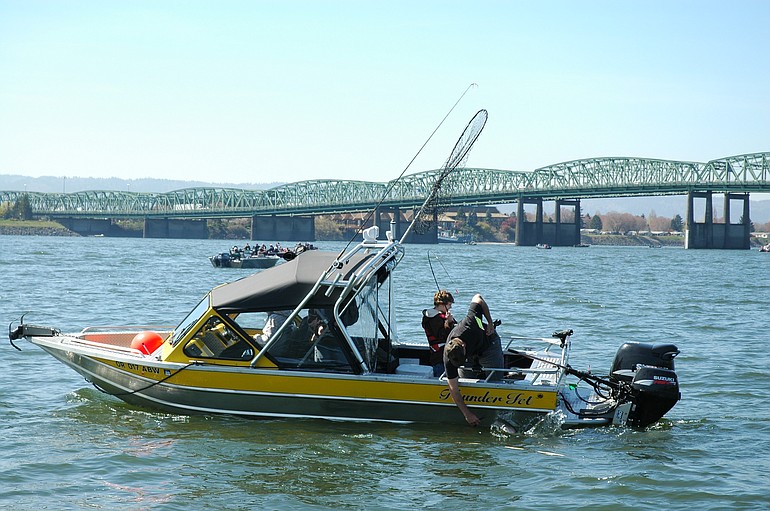 Spring chinook anglers in 2011 are expected to get a substantially shorter season on the Columbia River due to a smaller run forecast.