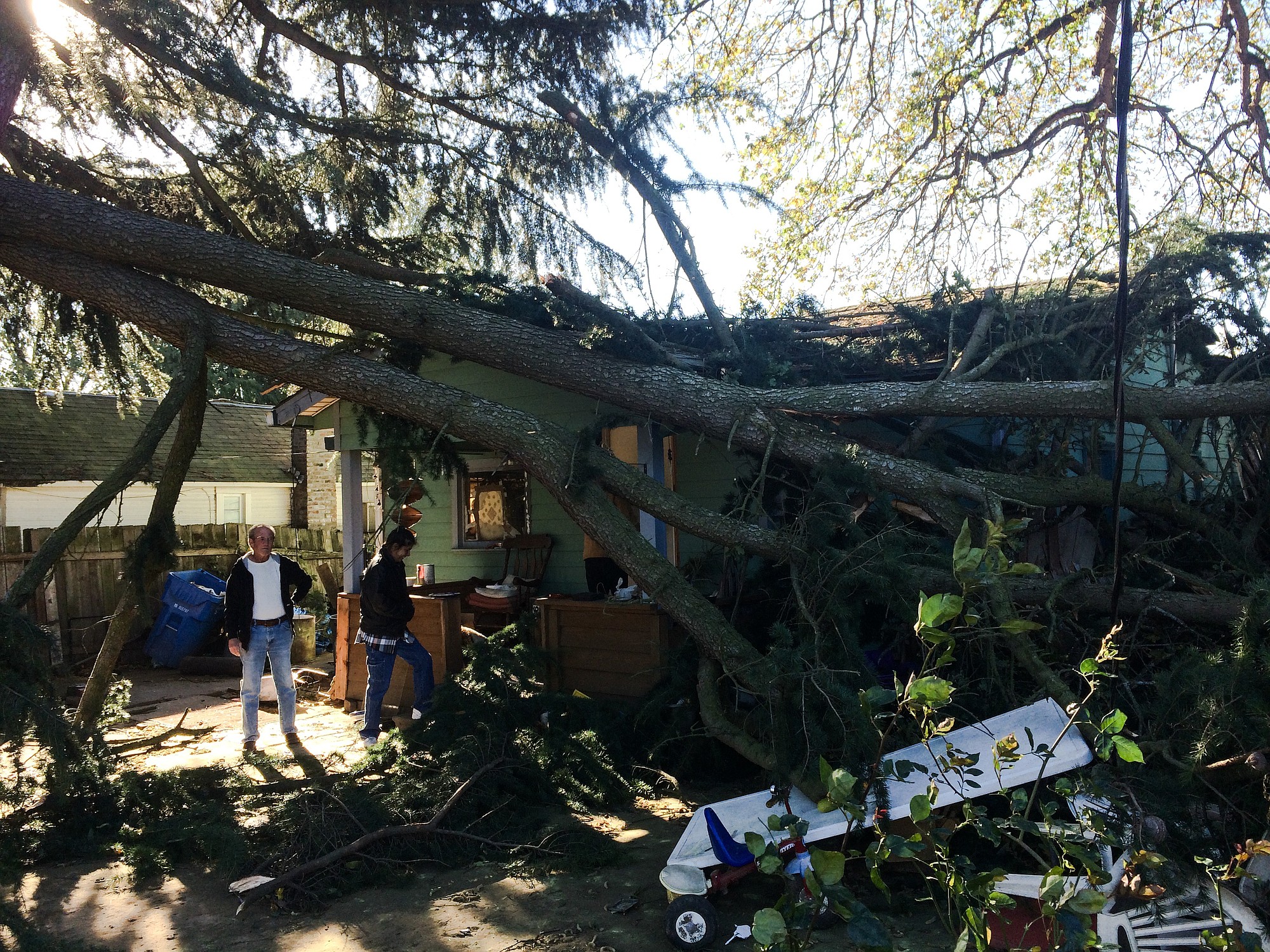 Two large trees fell onto a house in the Vancouver's Hough neighborhood.
