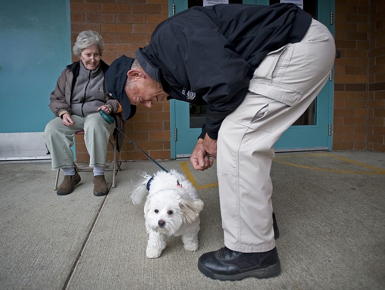 Ron Gaunt, a founder of the National Association of Canine Scent Work, greets Kaili, a 9-year-old Coton de Tulear, while her owner, Cynthia Fry of Seattle, looks on Sunday at a nose-work competition.