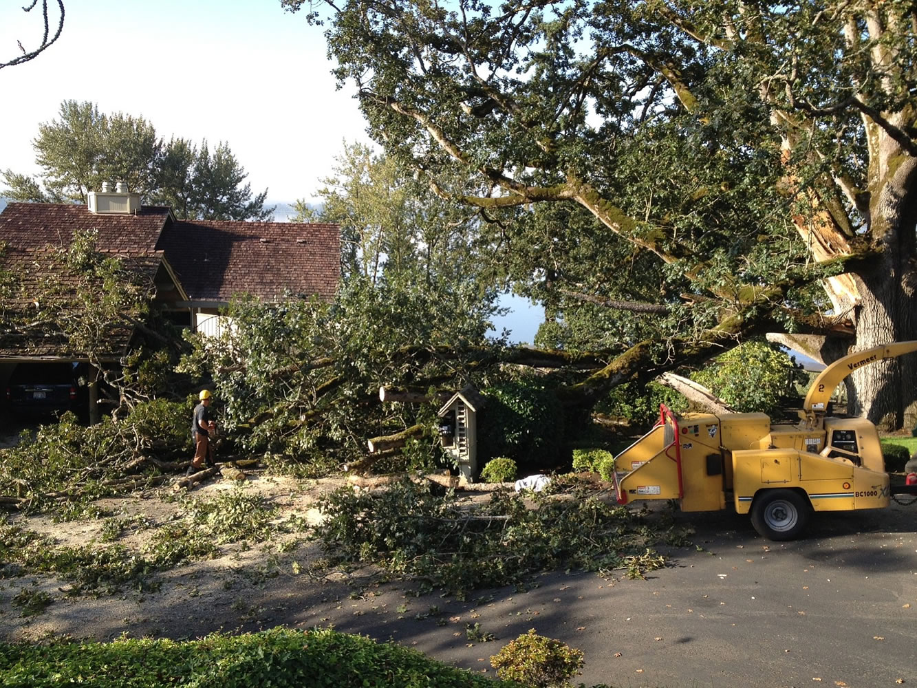 The roof of a West Hazel Dell garage was damaged after part of a signature oak tree fell early this morning.