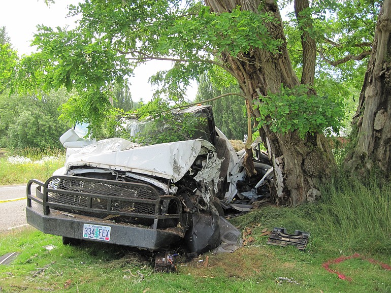 A police photo shows the aftermath of a fatal accident involving a pickup and a large tree.