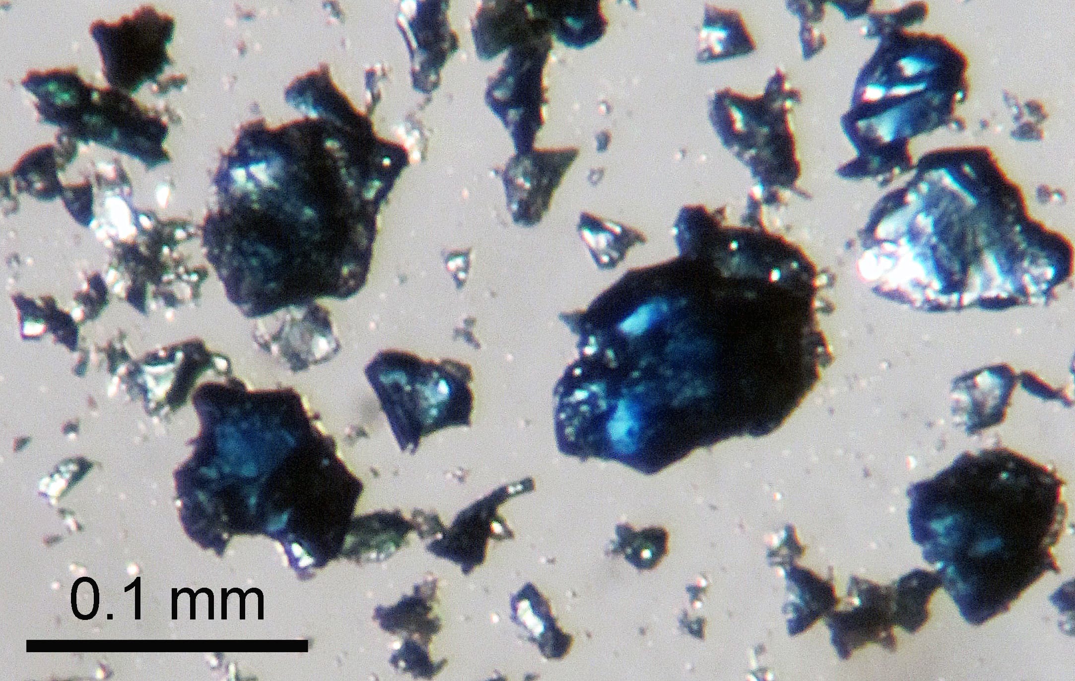Steve Jacobsen/Northwestern University
Crystals of blue hydrous ringwoodite, synthesized in a high-pressure lab experiment, were used to help identify the diamond in the Earth's mantle. The discovery may help us to better understand the mechanics of earthquakes and volcanoes.