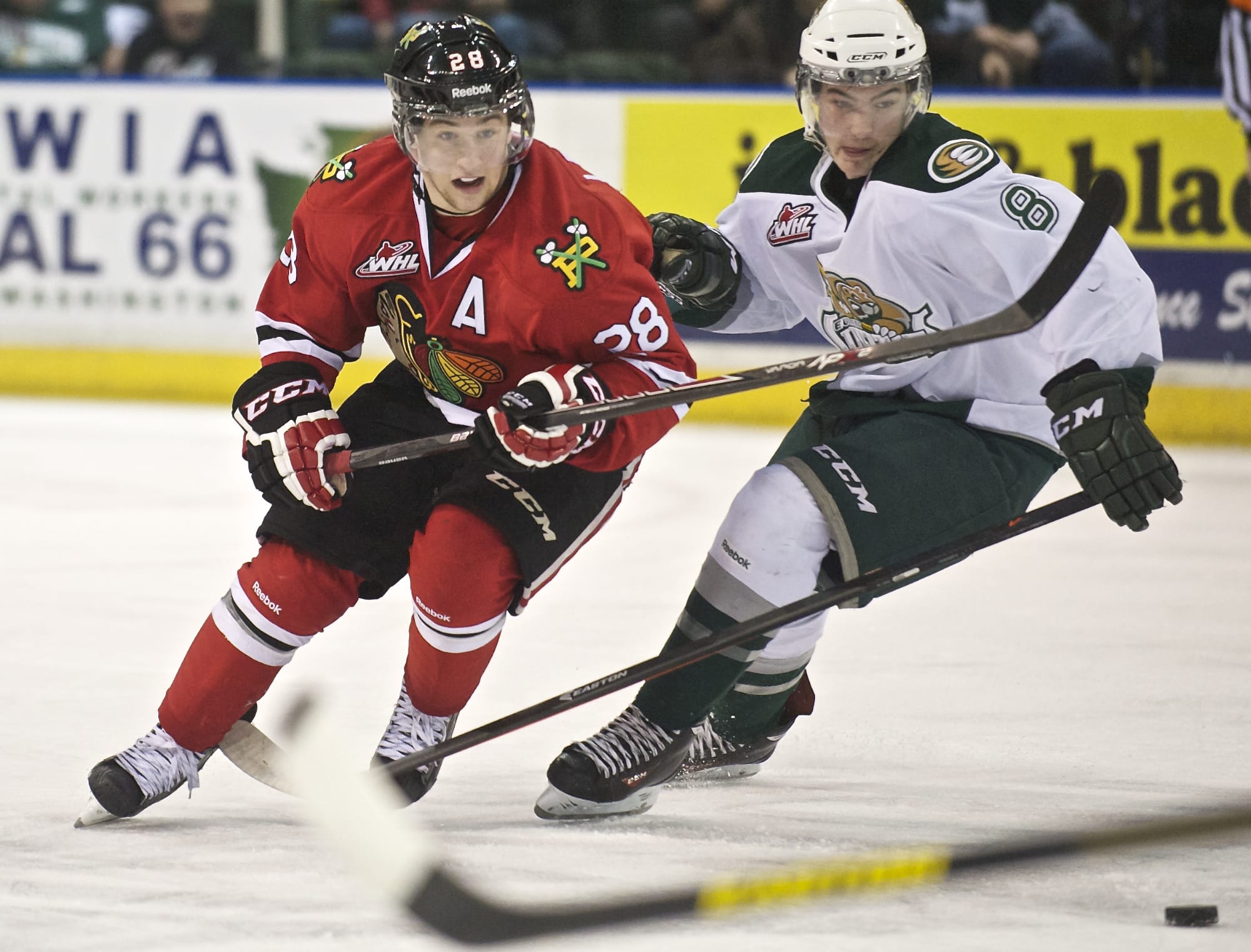 Brendan Leipsic has been one of the offensive leaders of the Winterhawks this season.