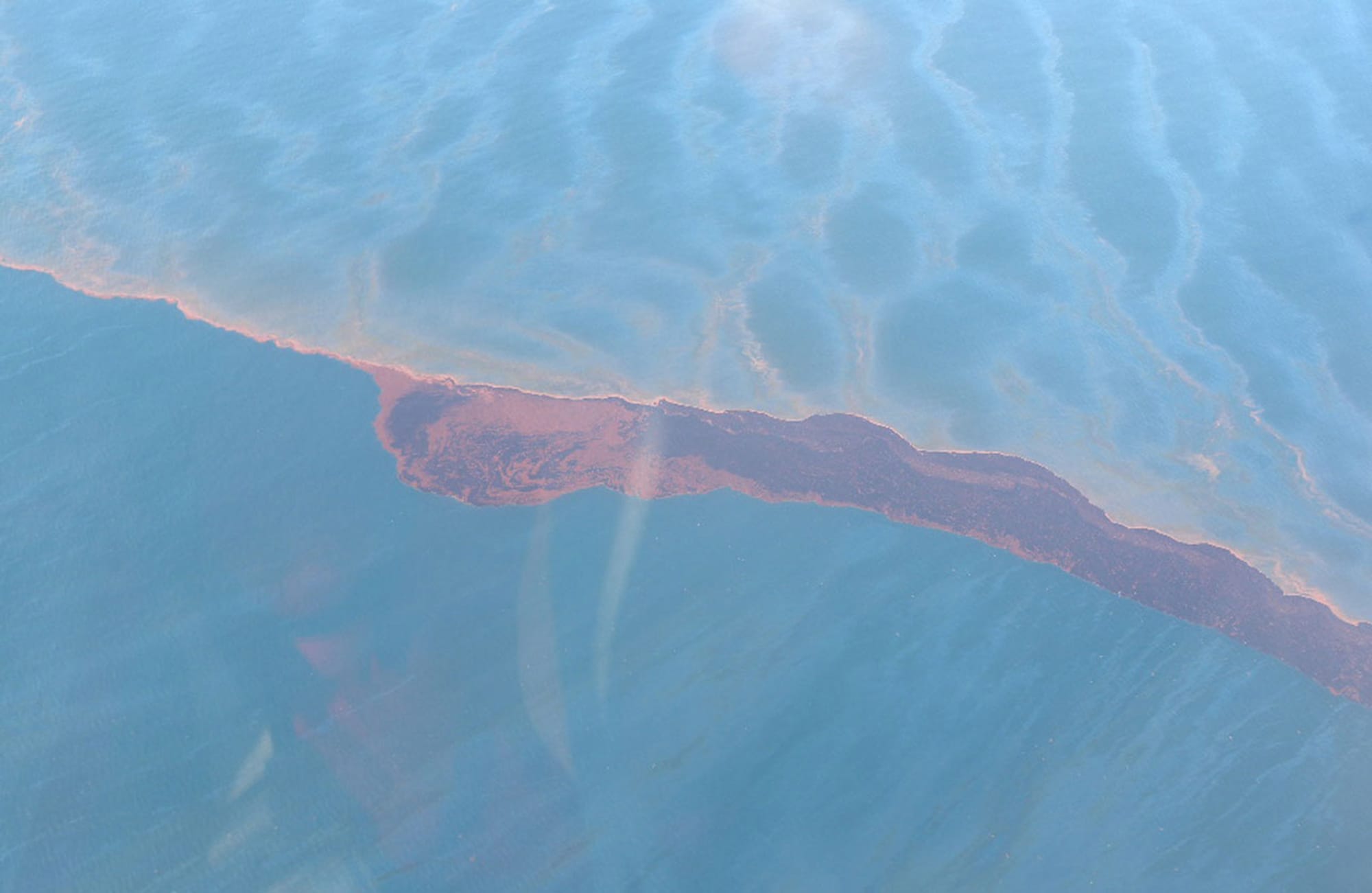Surface oil from the BP Deepwater Horizon oil spill floats in the Gulf on May 25, 2010, near Pass a Loutre, La.