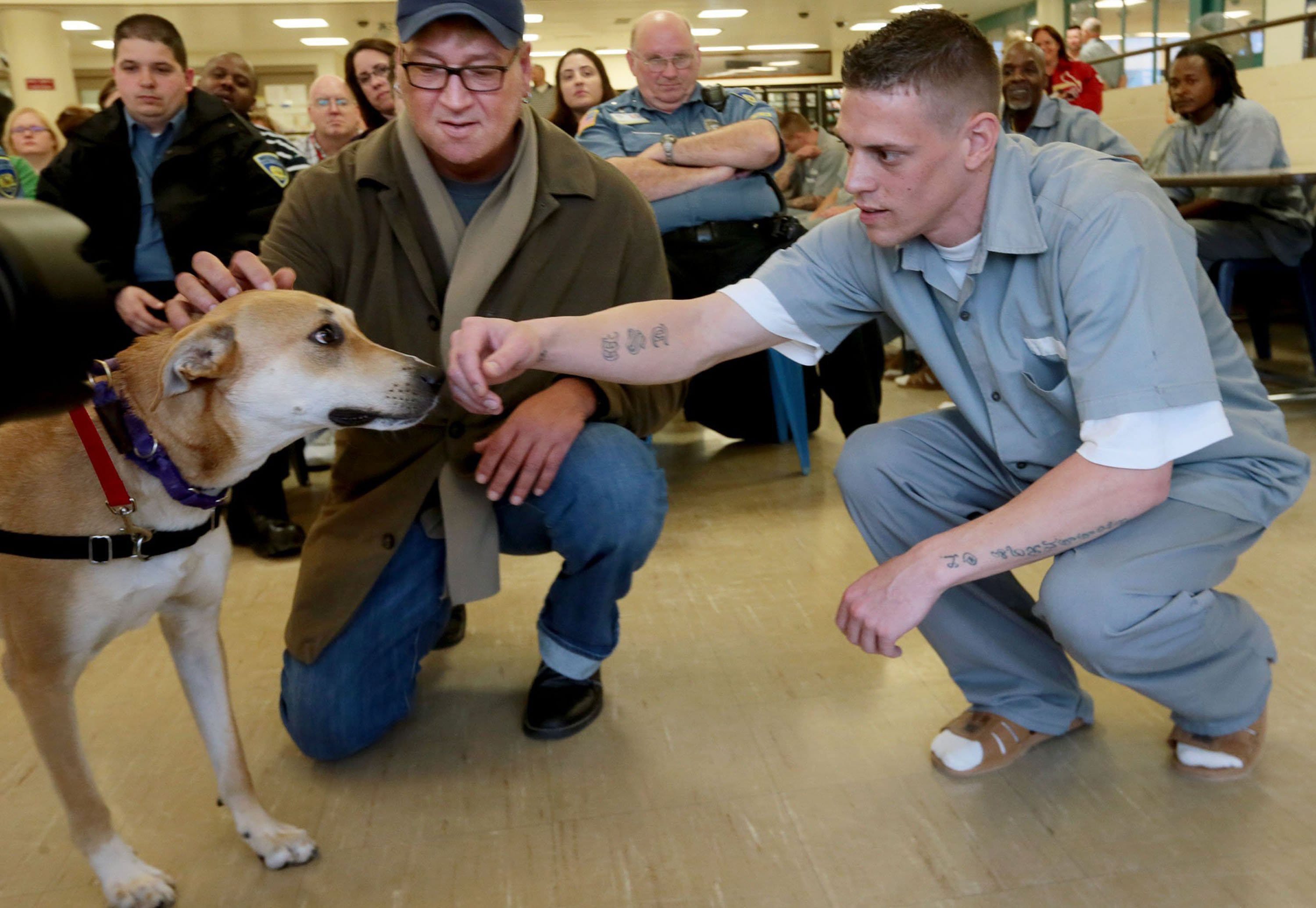 Randy Grim, left, introduces Burlesque to inmate Tony Ward as part of the Puppies for Parole program March 19 at the Missouri Eastern Correctional Center in Pacific, Mo.